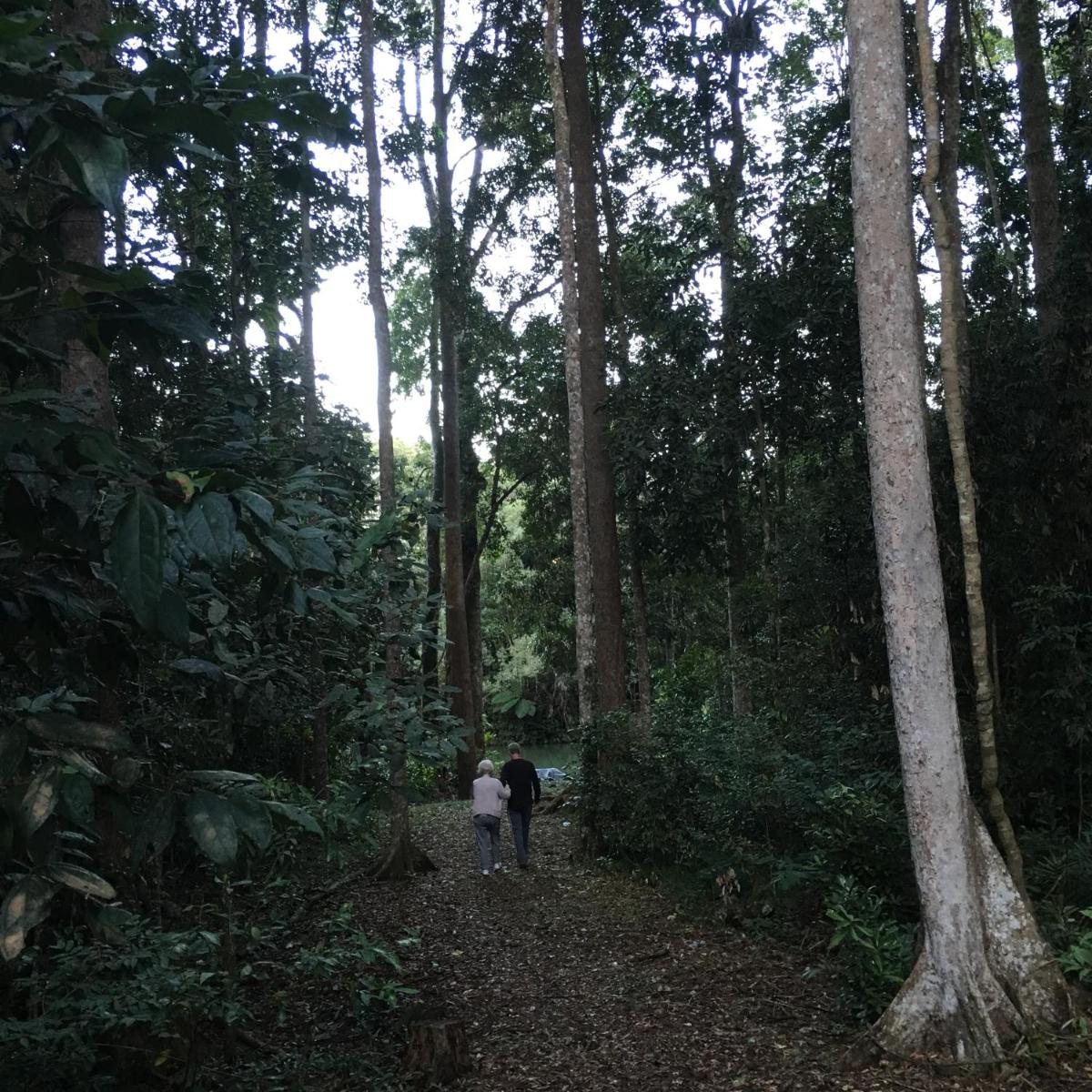 Figtree Getaway