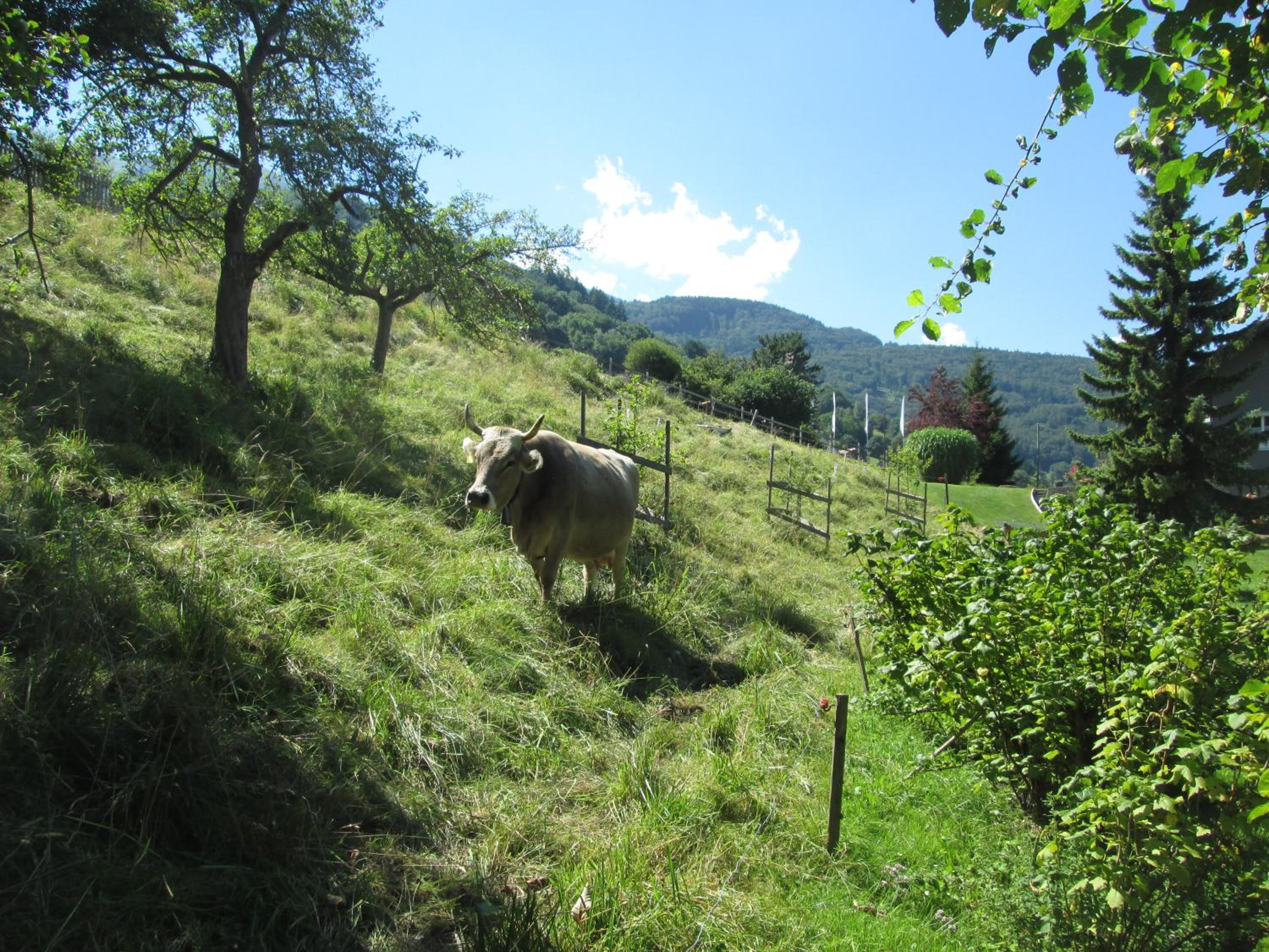 Photo 14