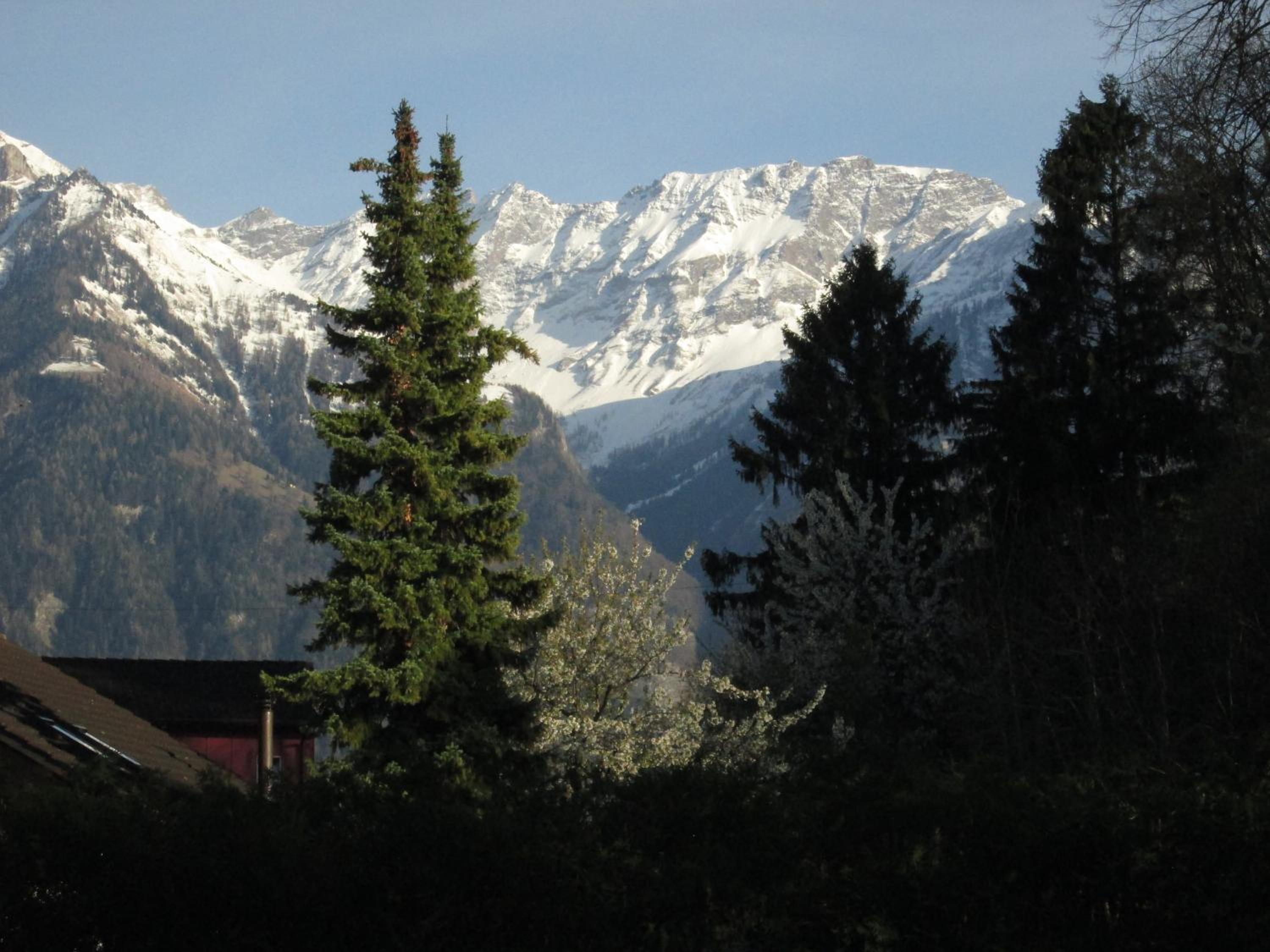 Photo 20