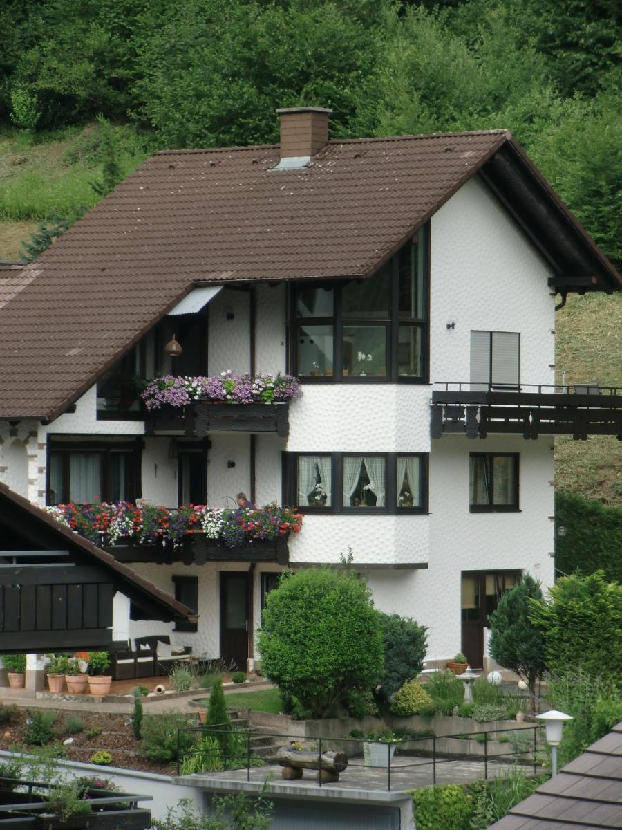 Ferienwohnung Uli Schätzle view 4