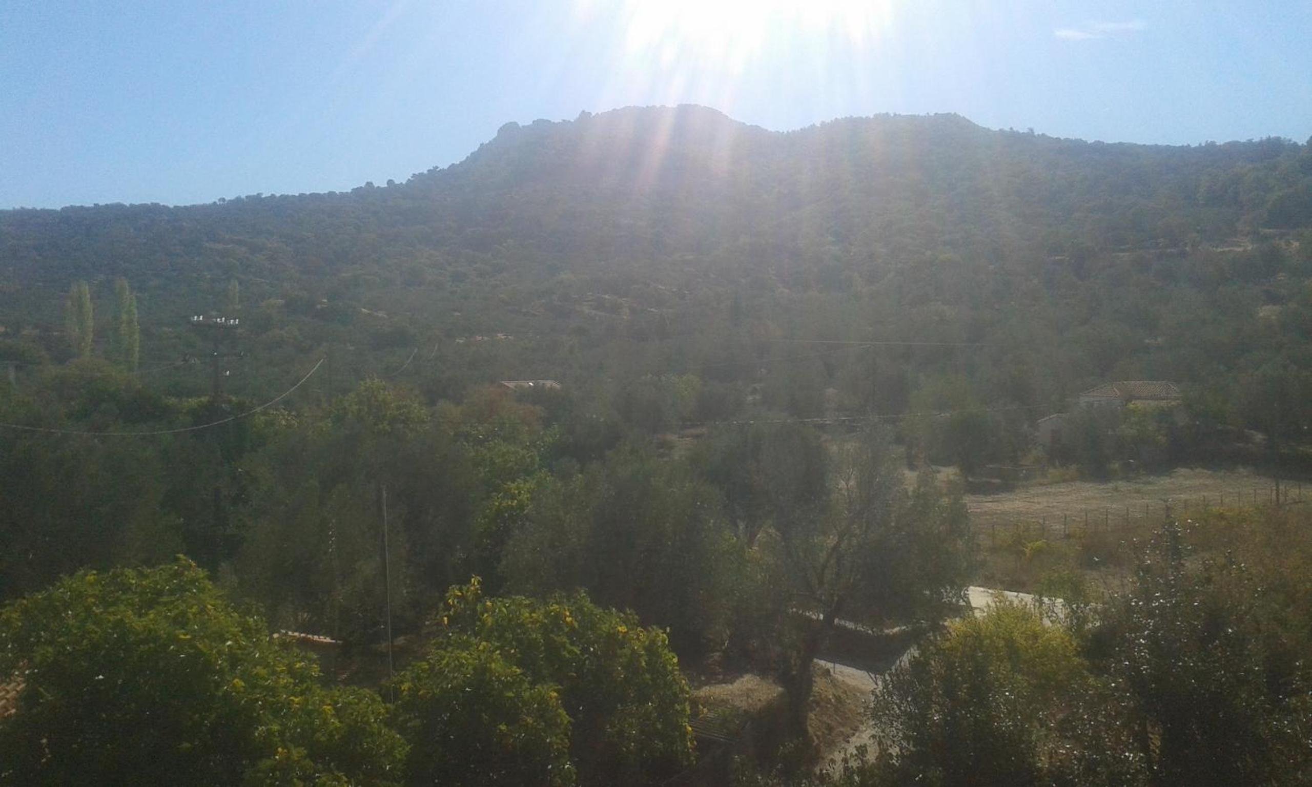 Vassilis Studios