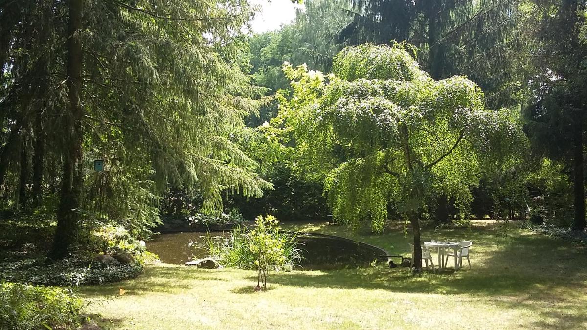 Ferienidyll Alte Eichen