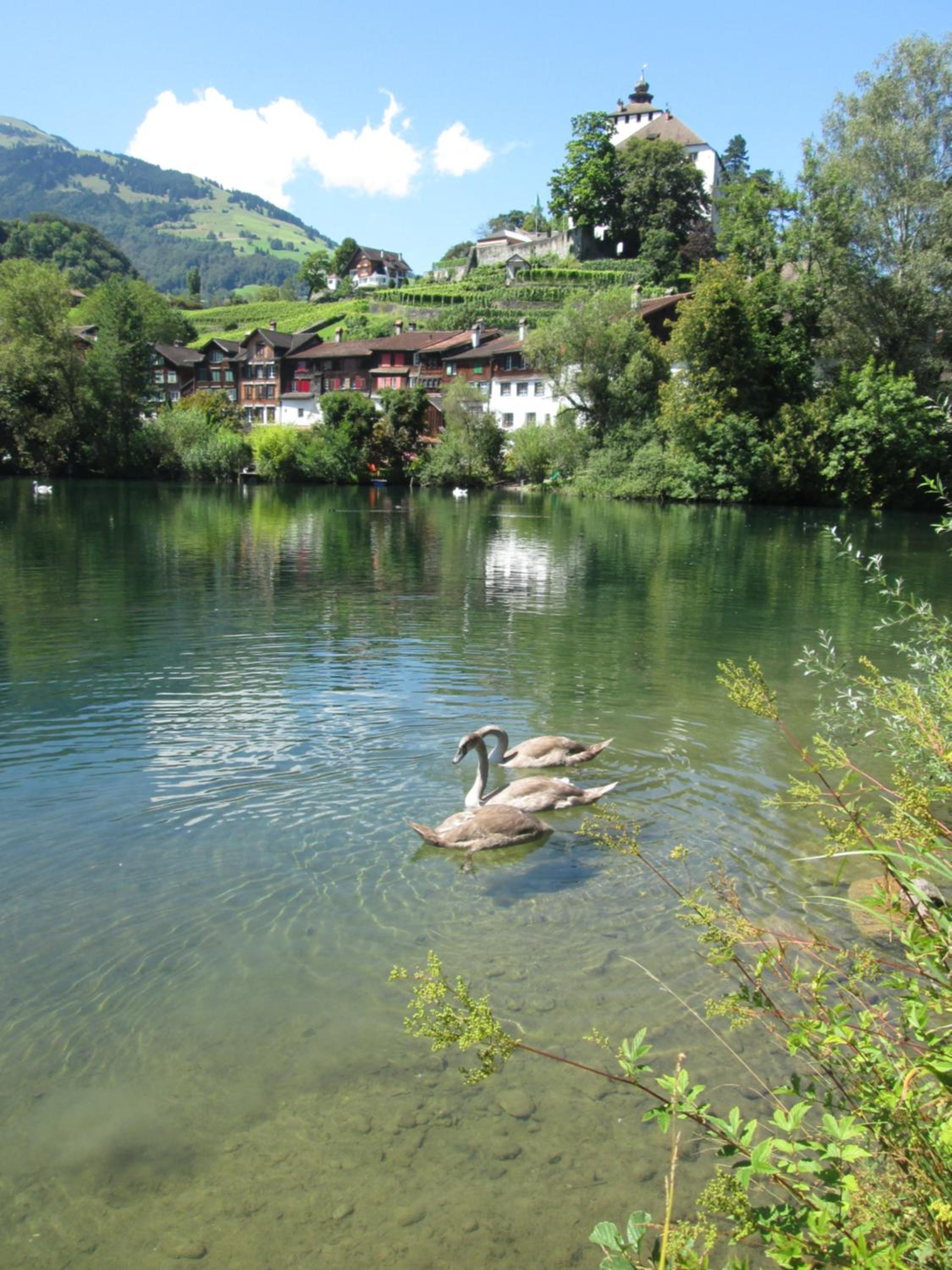 Photo 24