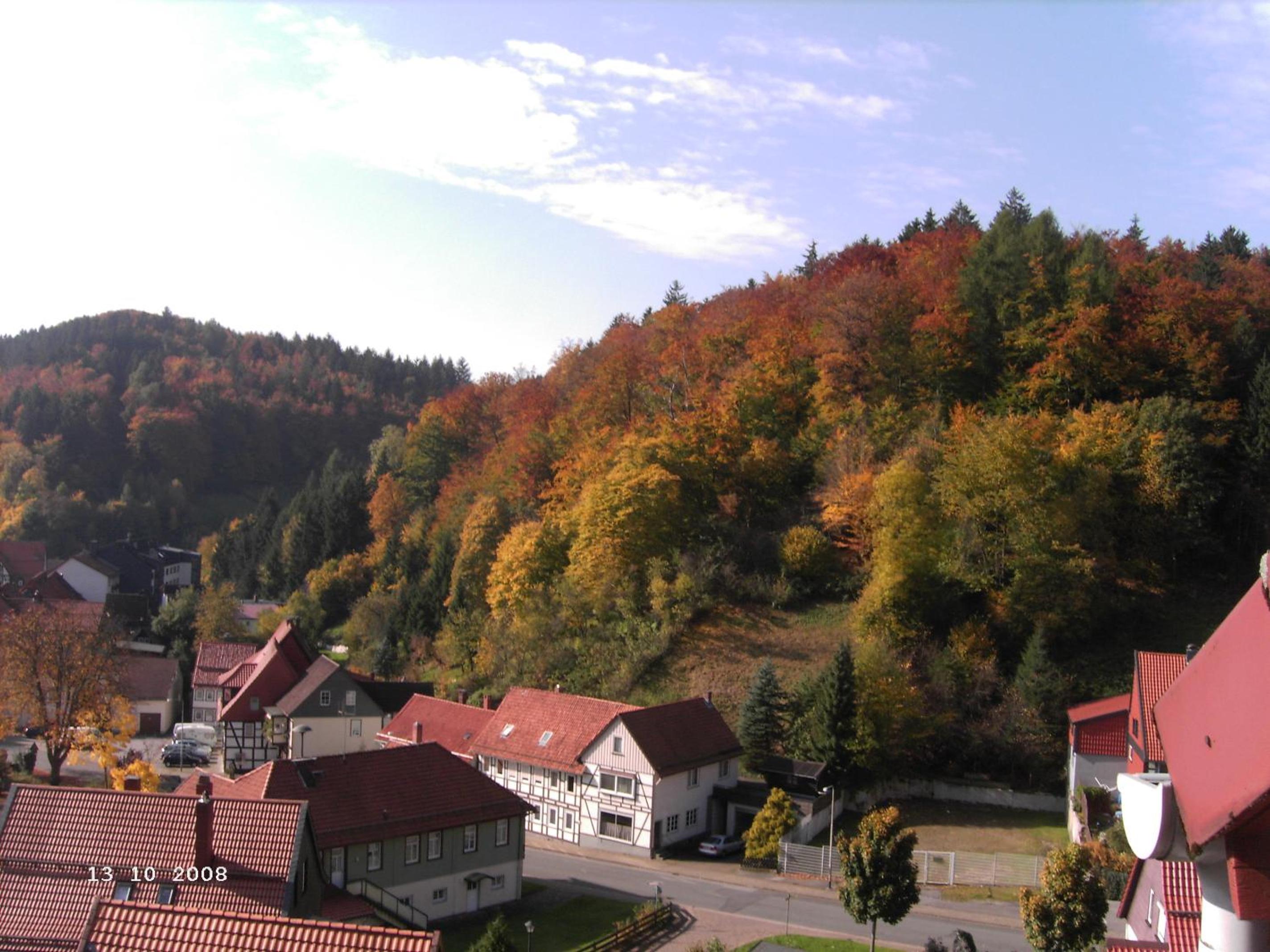 Hotel-Pension Waldhaus