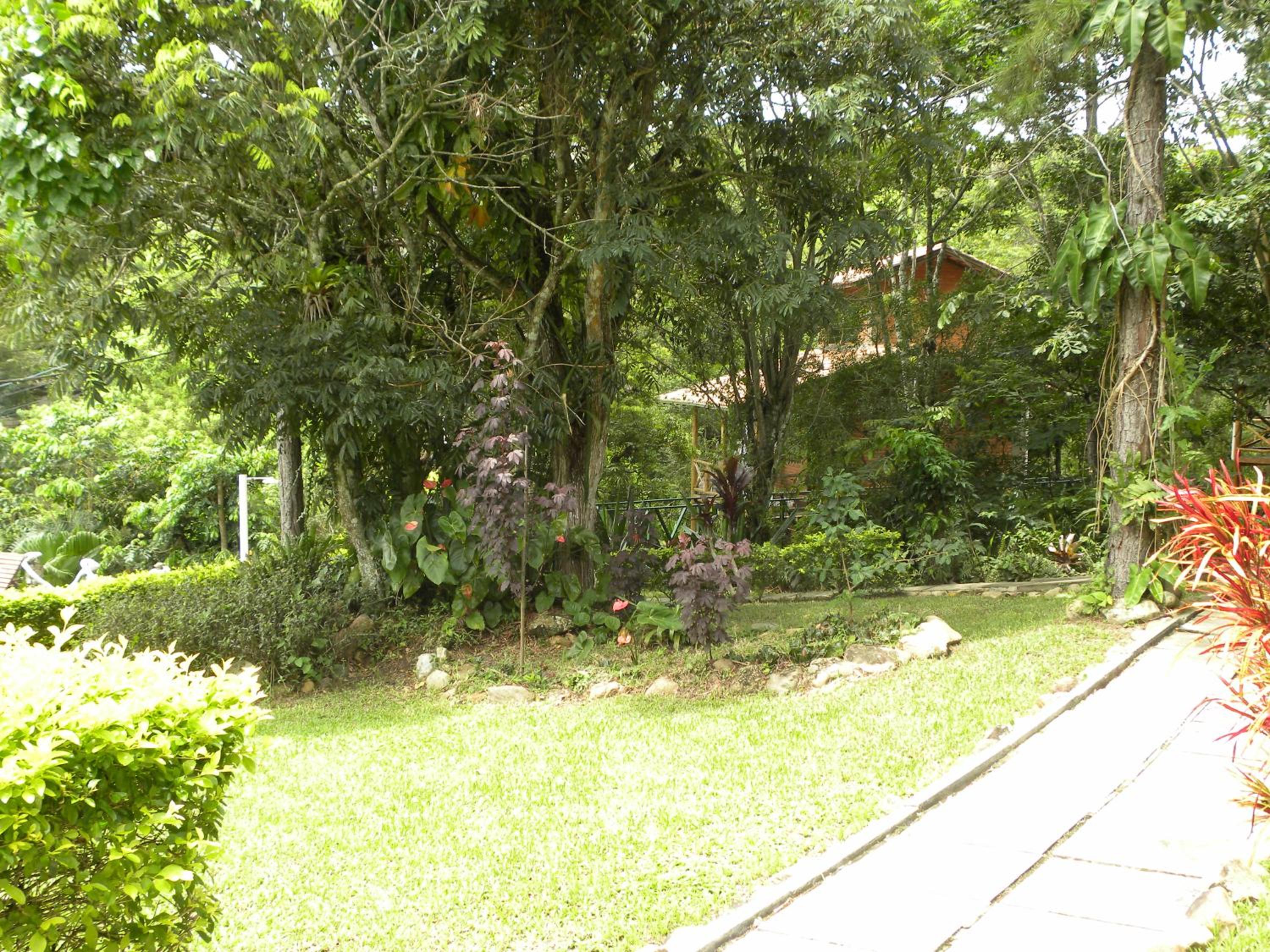 Photo 27
