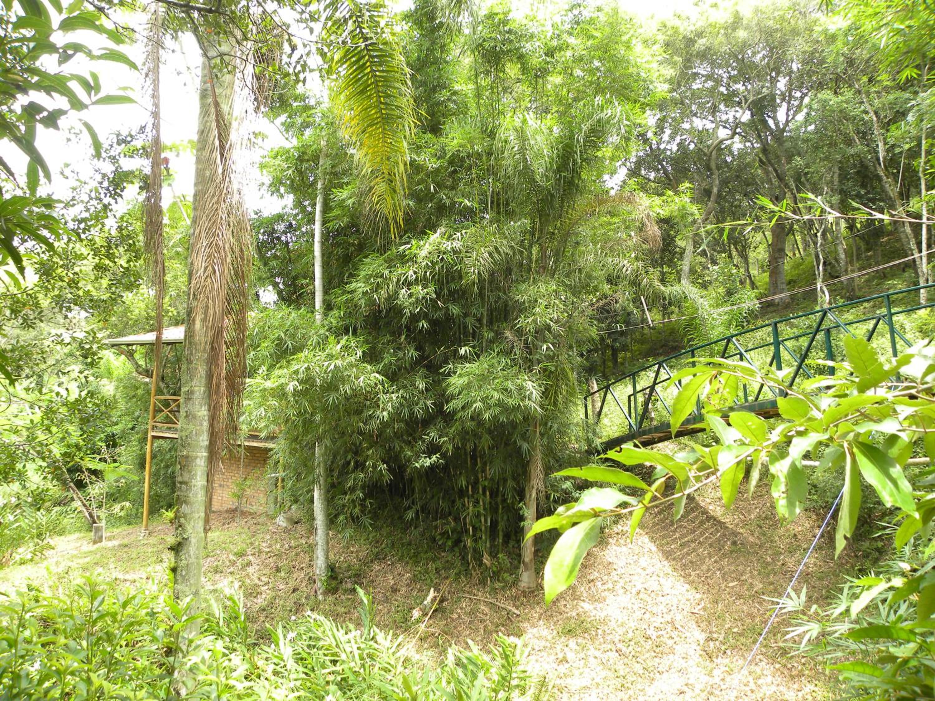 Photo 25