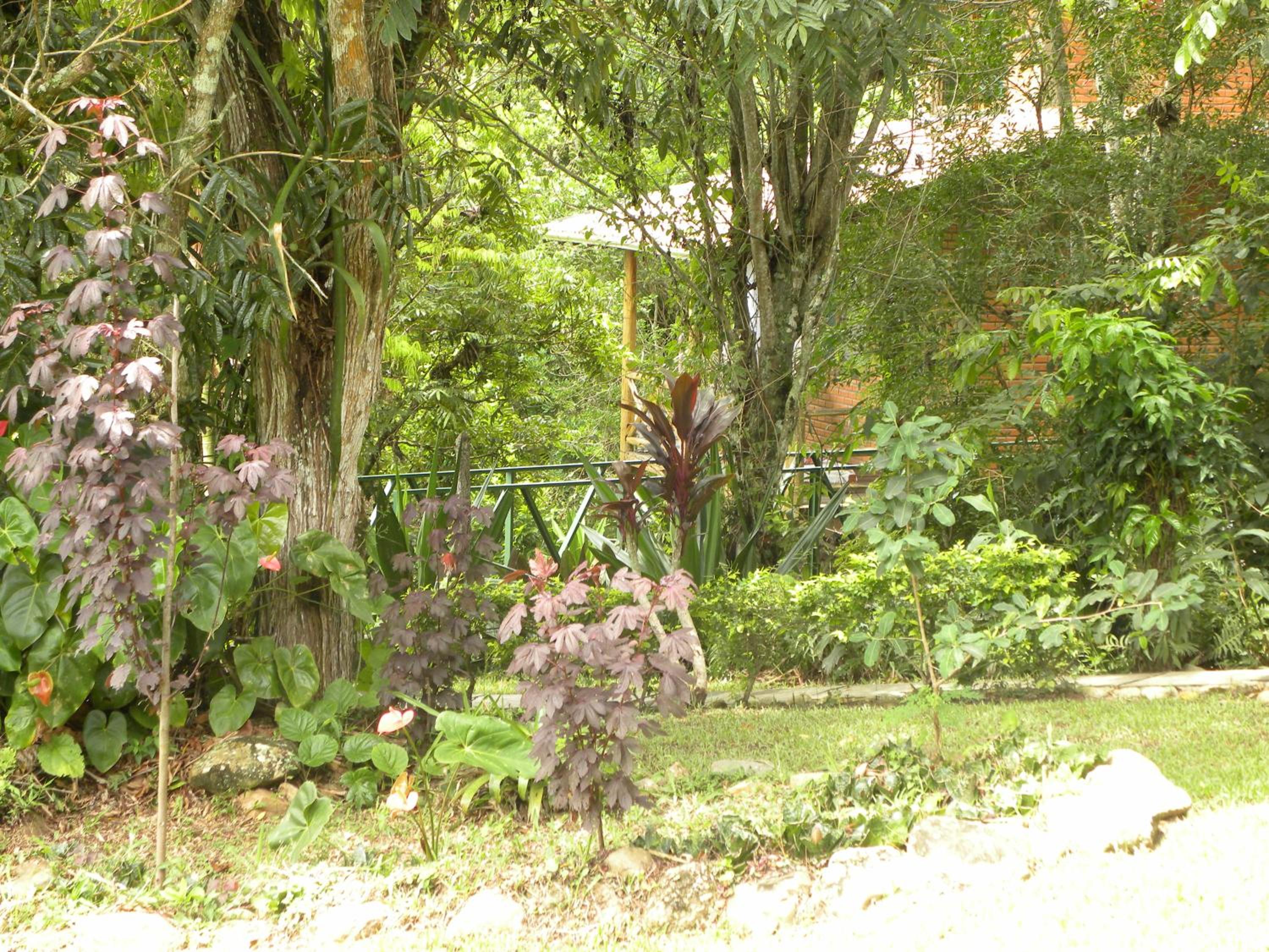 Photo 26
