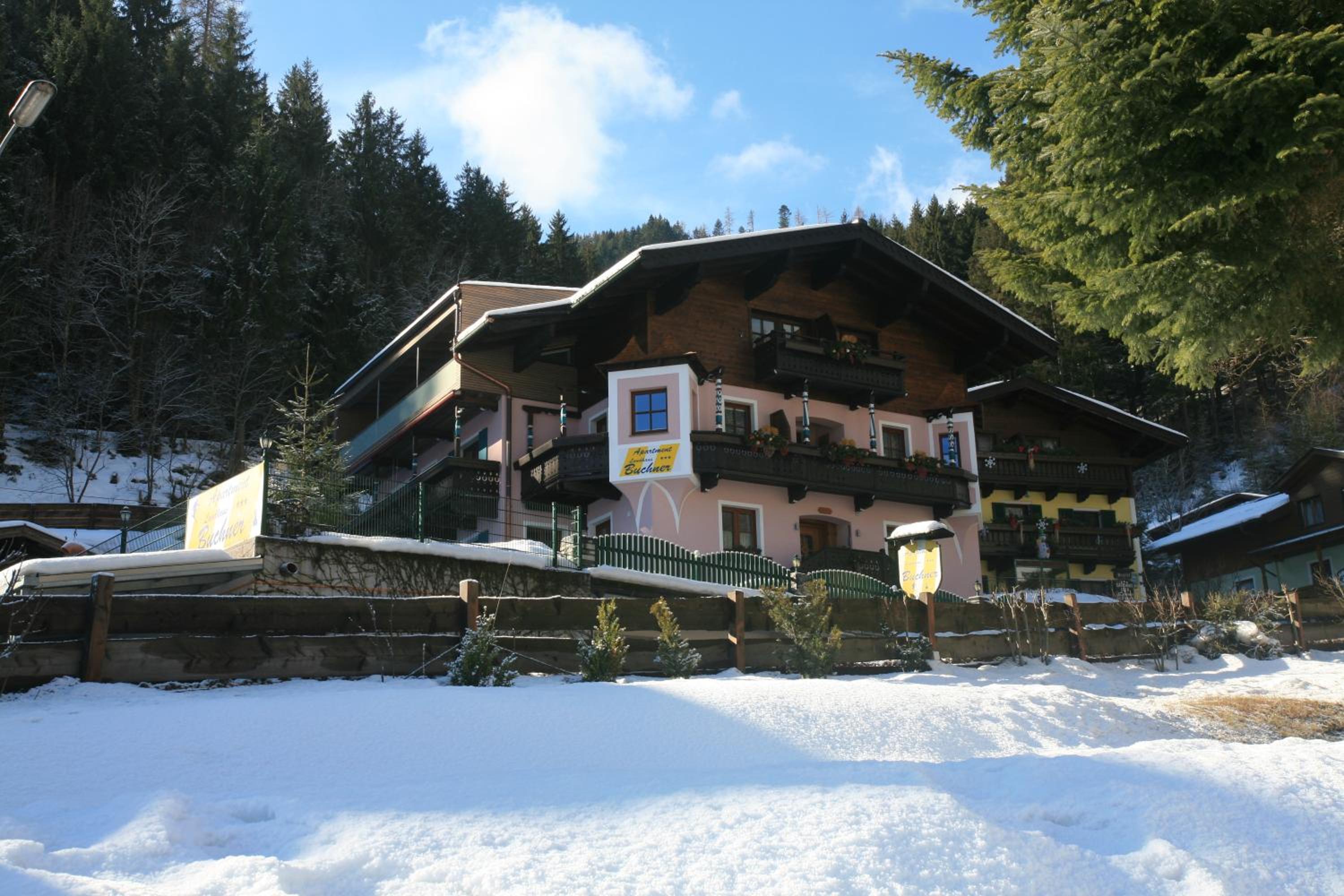 Apartment Landhaus Buchner view 3