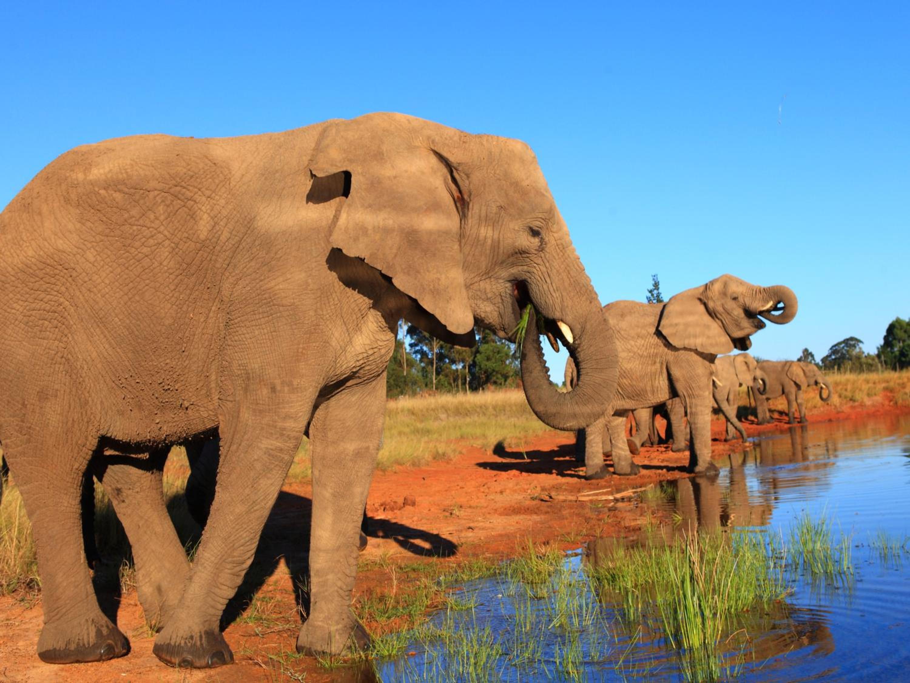 Lily Pond Country Lodge