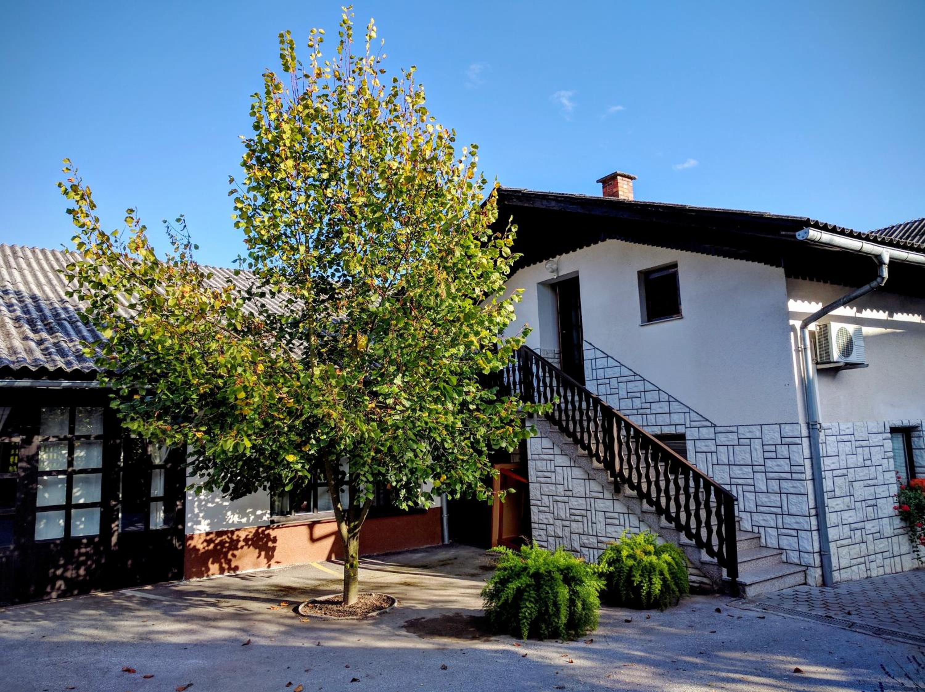 Photo 11