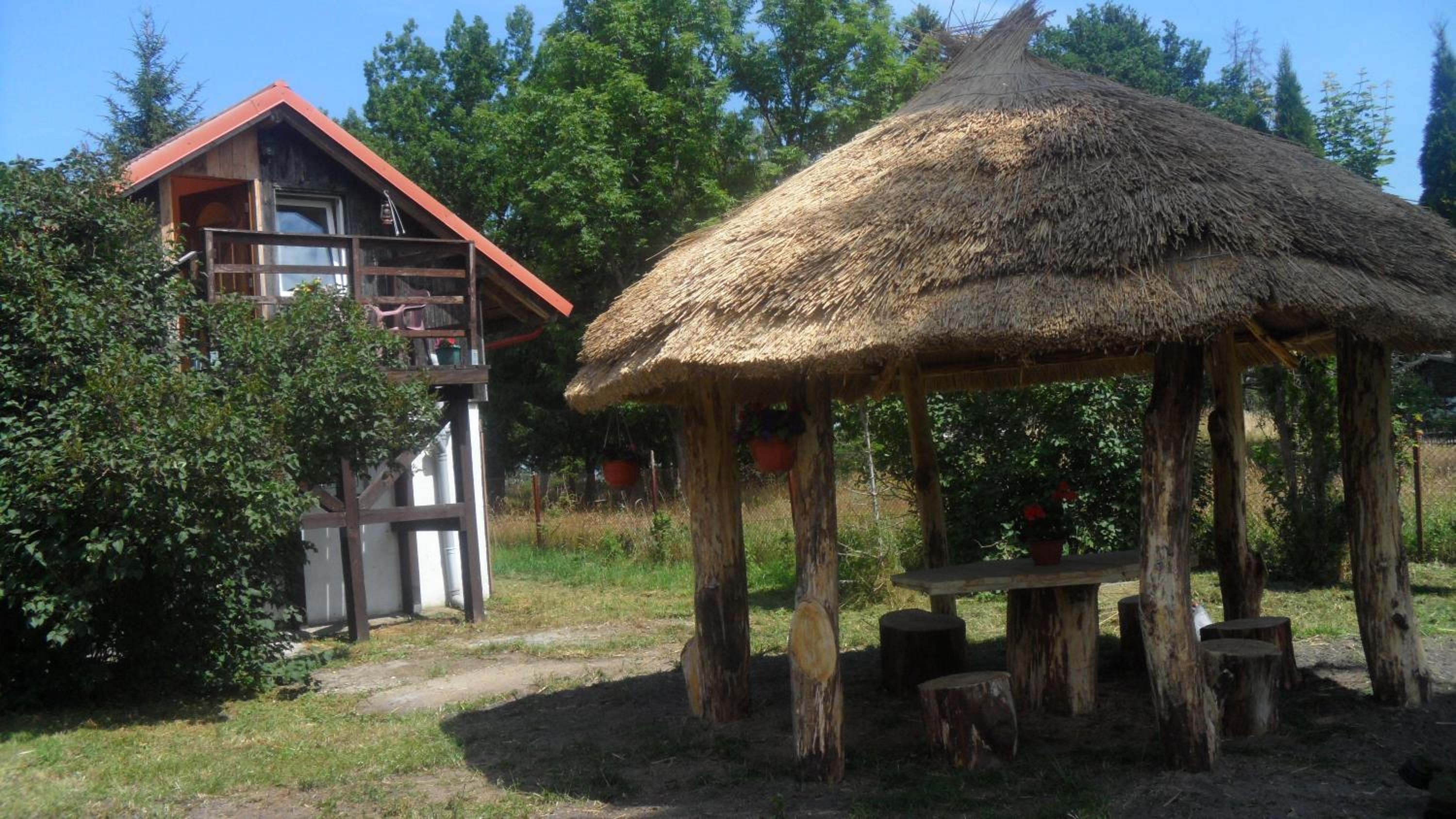 Photo 44