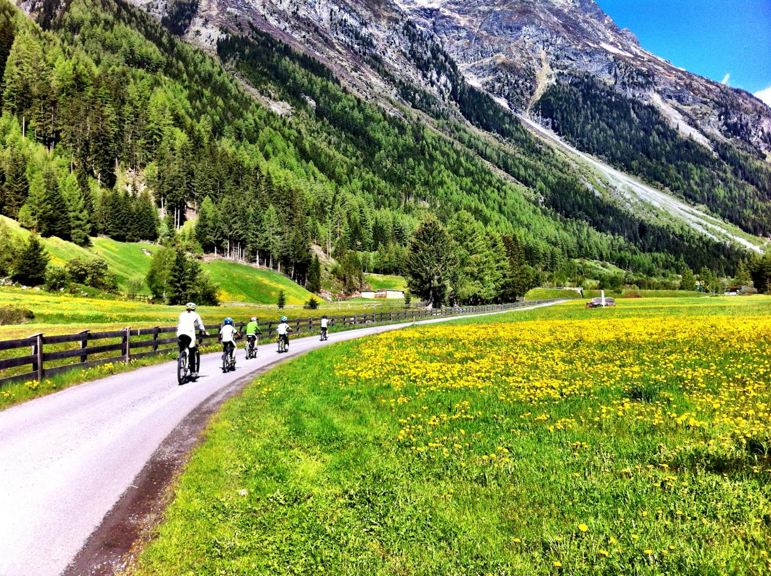 Apart Alpen