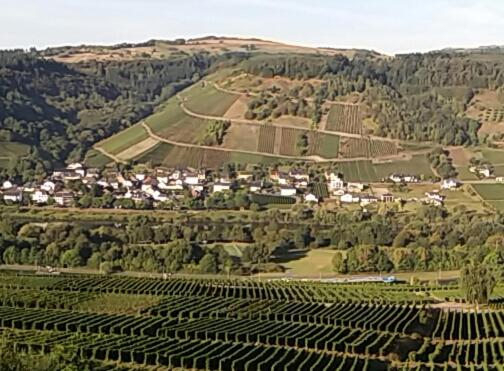 Gästehaus-Weingut Michael Scholer