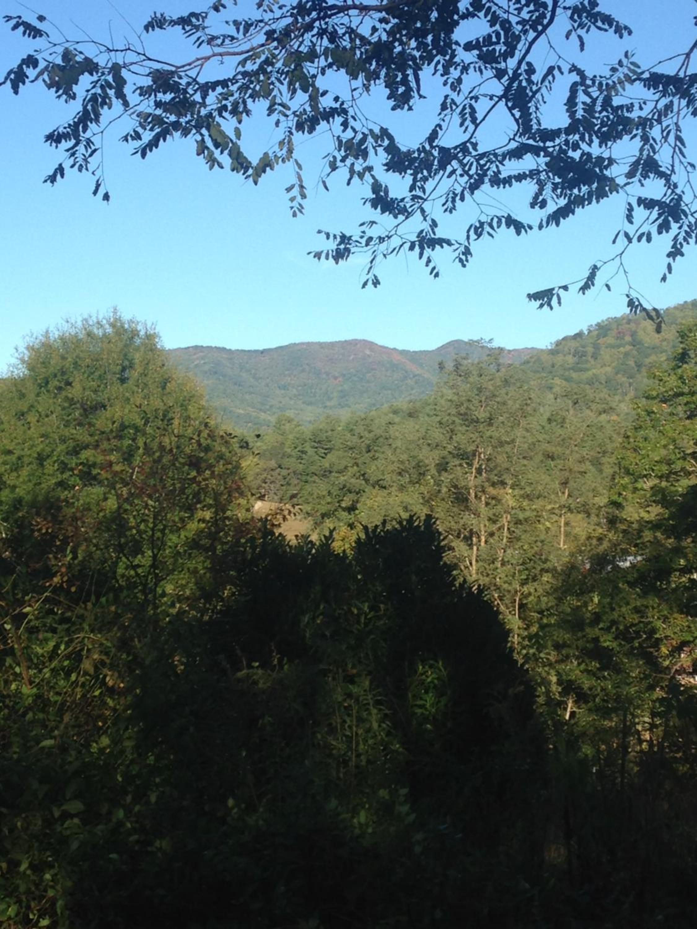Photo 31