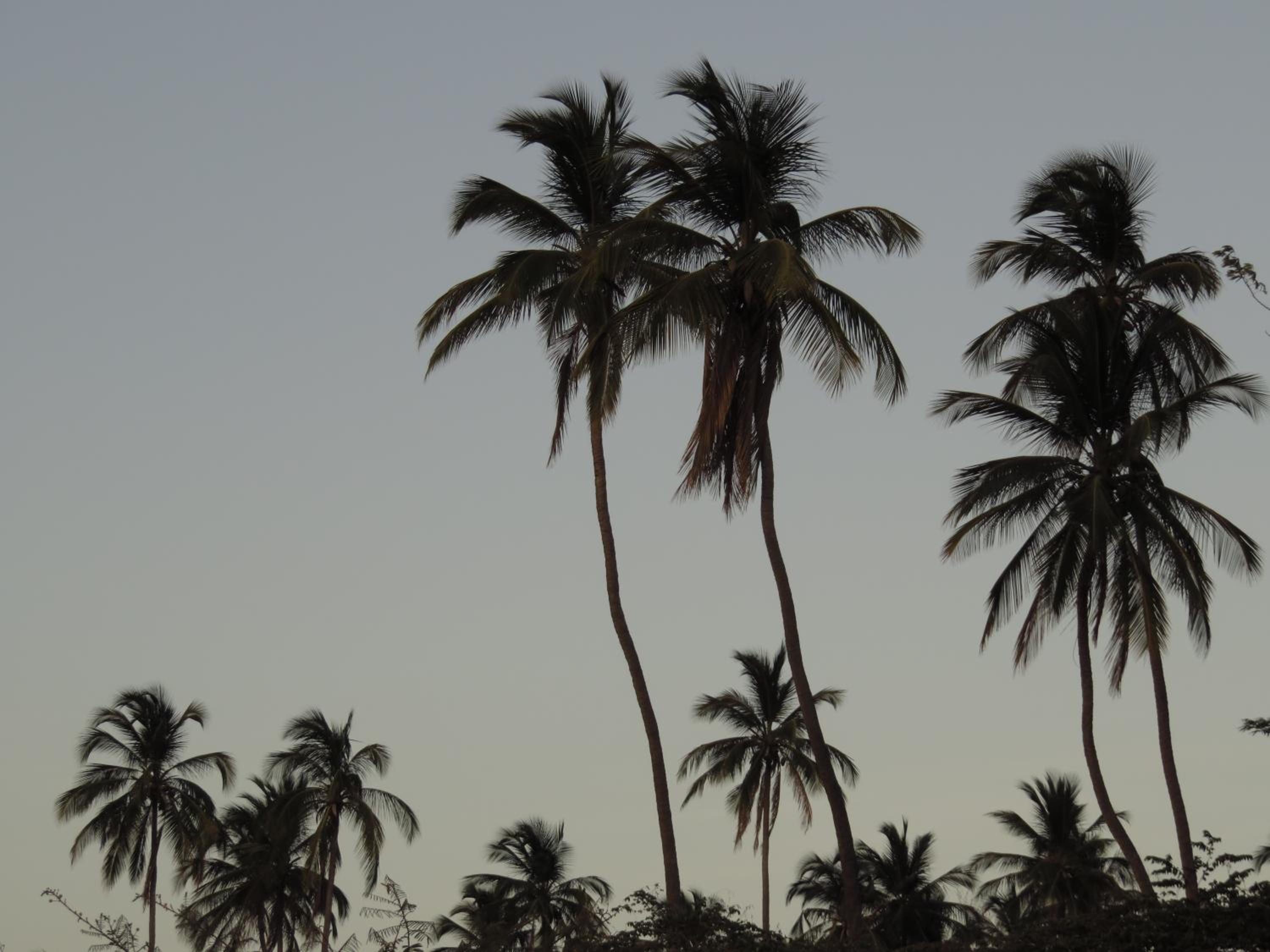 Photo 44