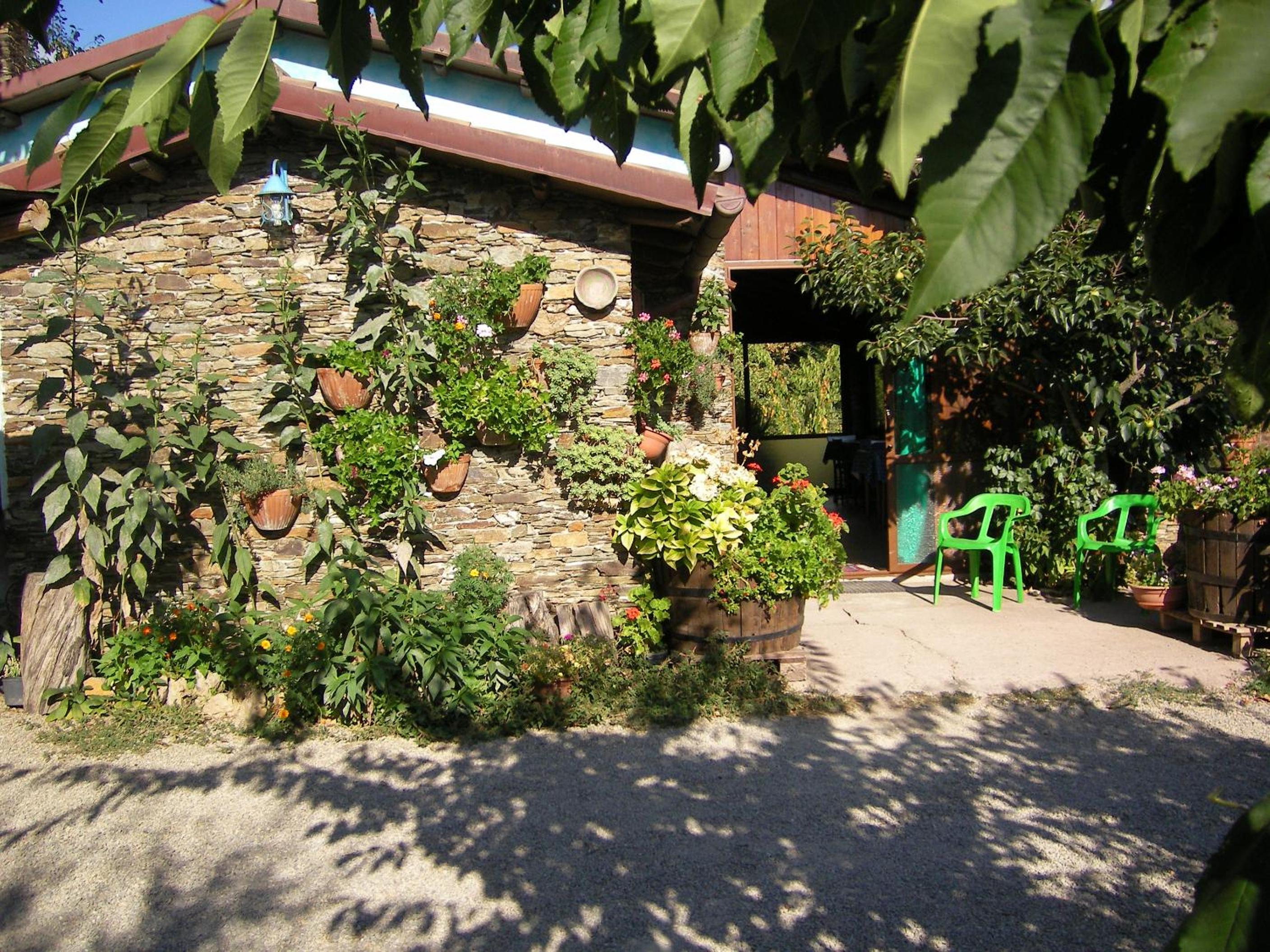 Photo 44