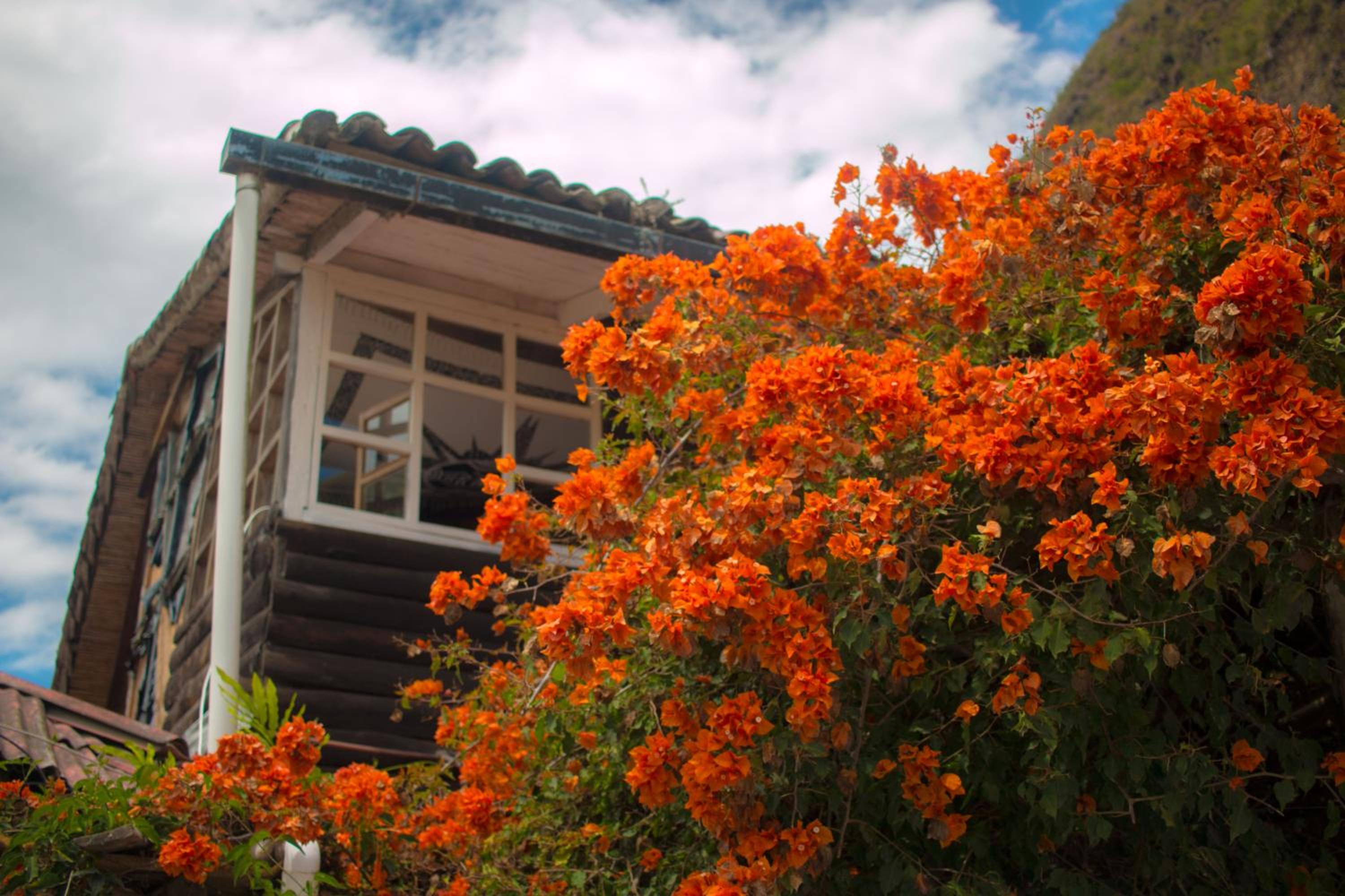 Pacheco Farmhouse - Intag Valley