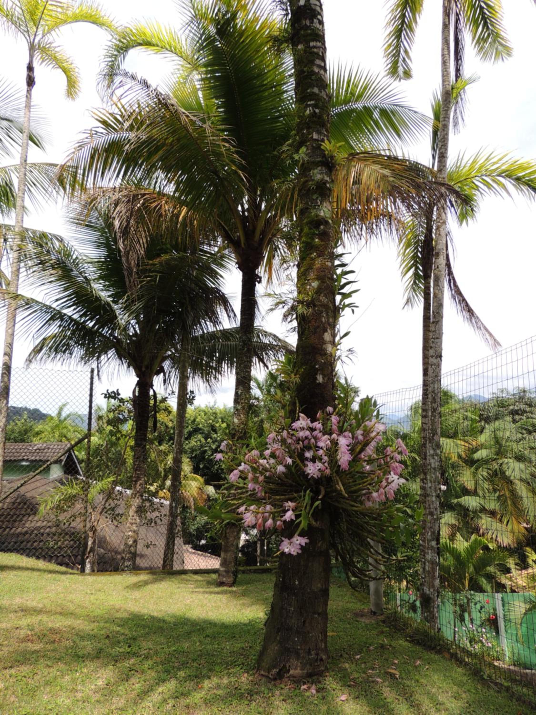 Marencanto Pousada