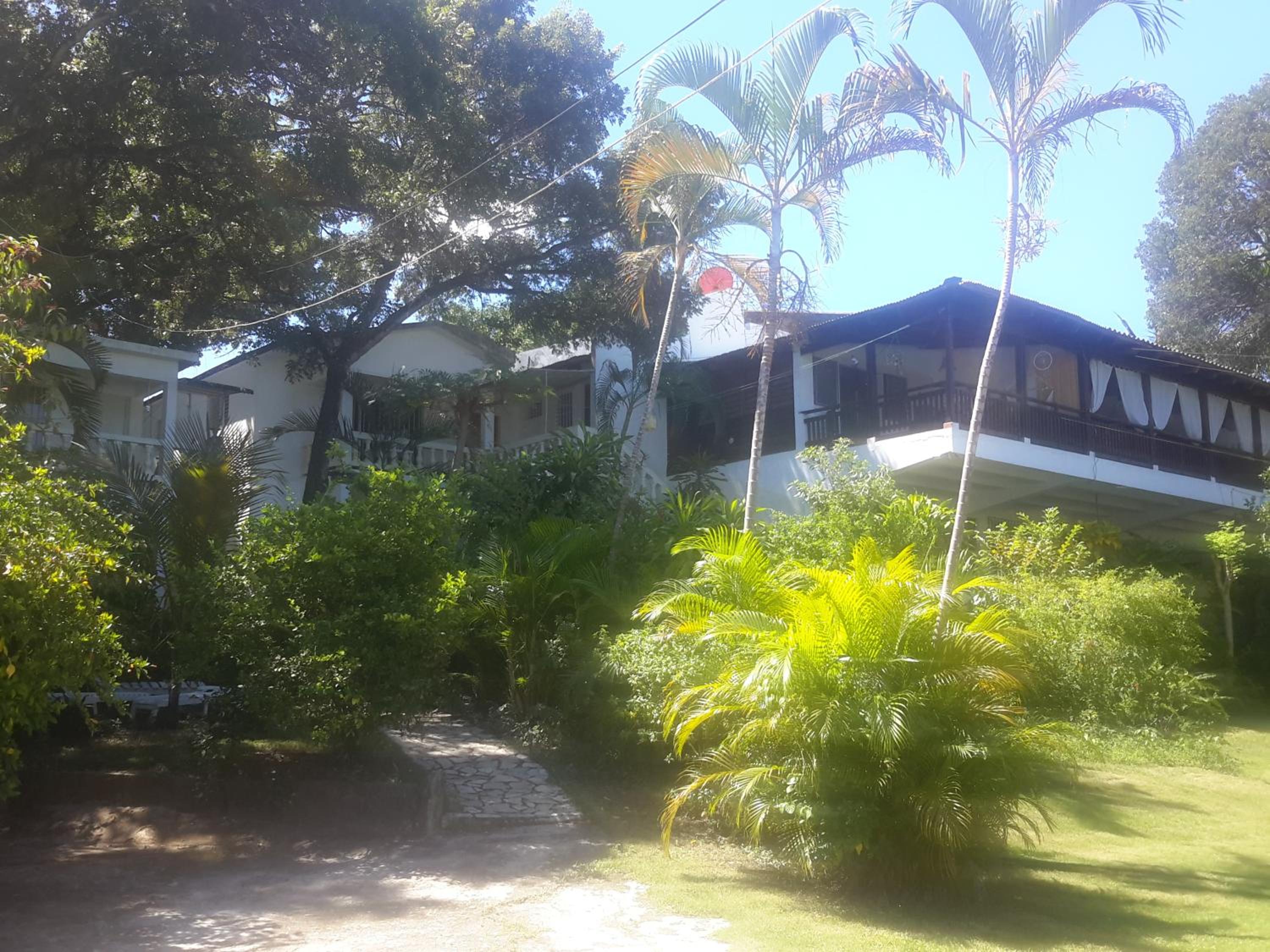 Photo 41