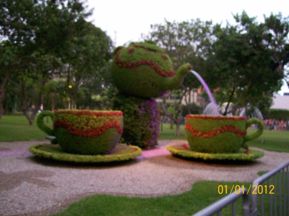 Photo 23