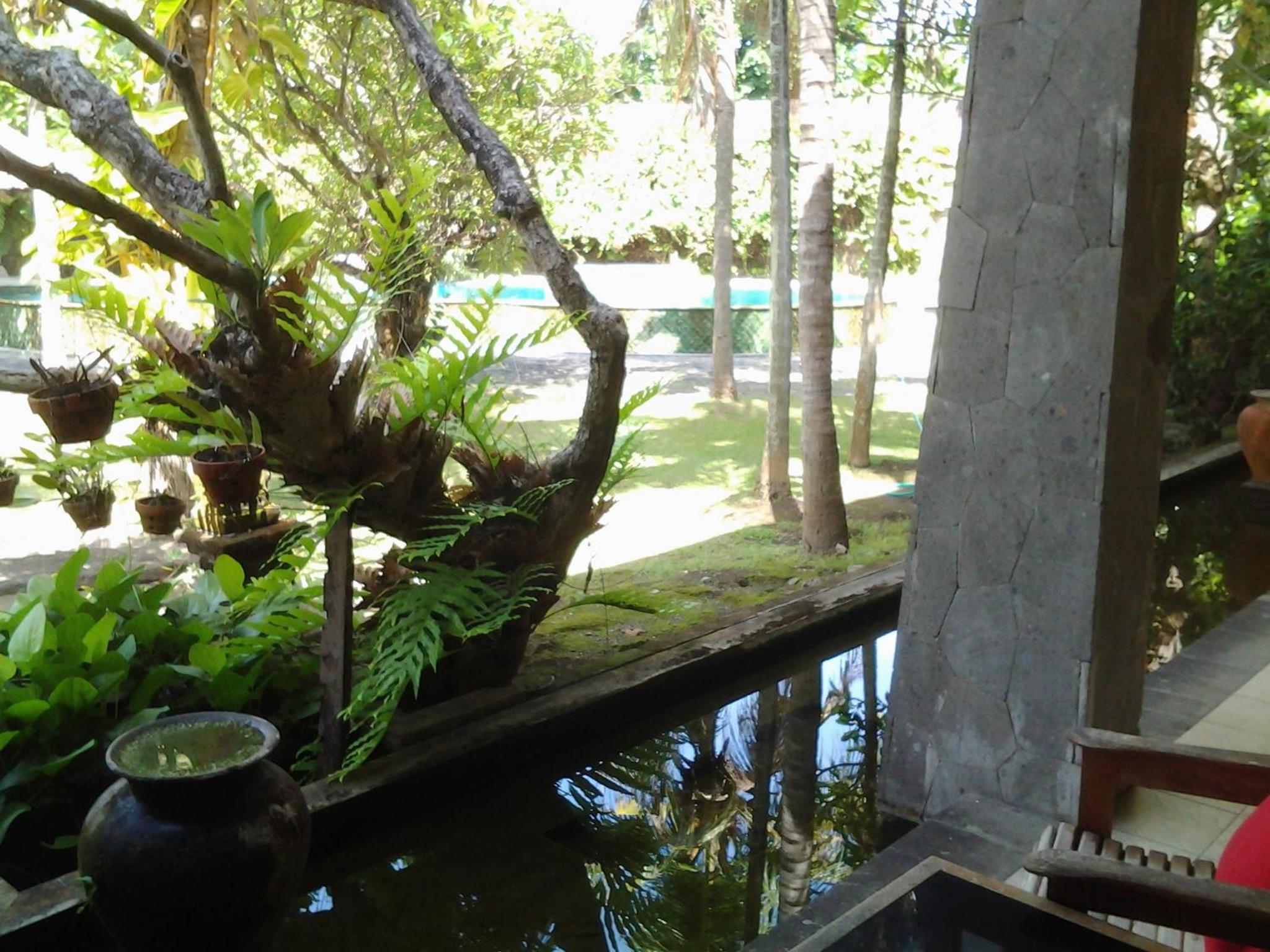 Photo 48
