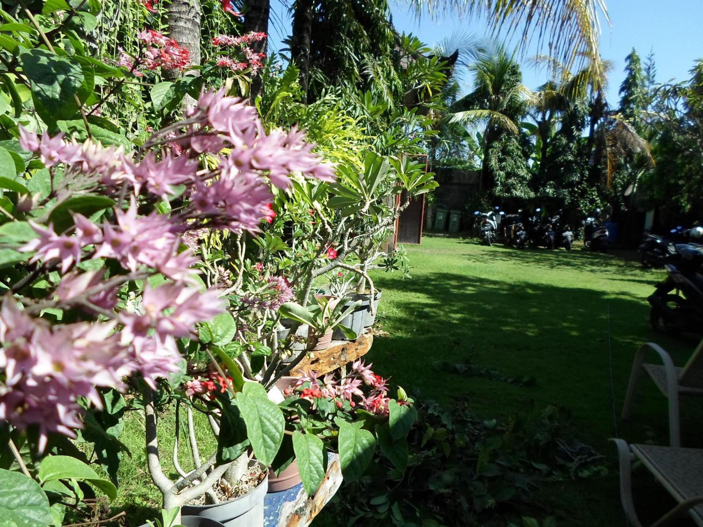 Photo 43