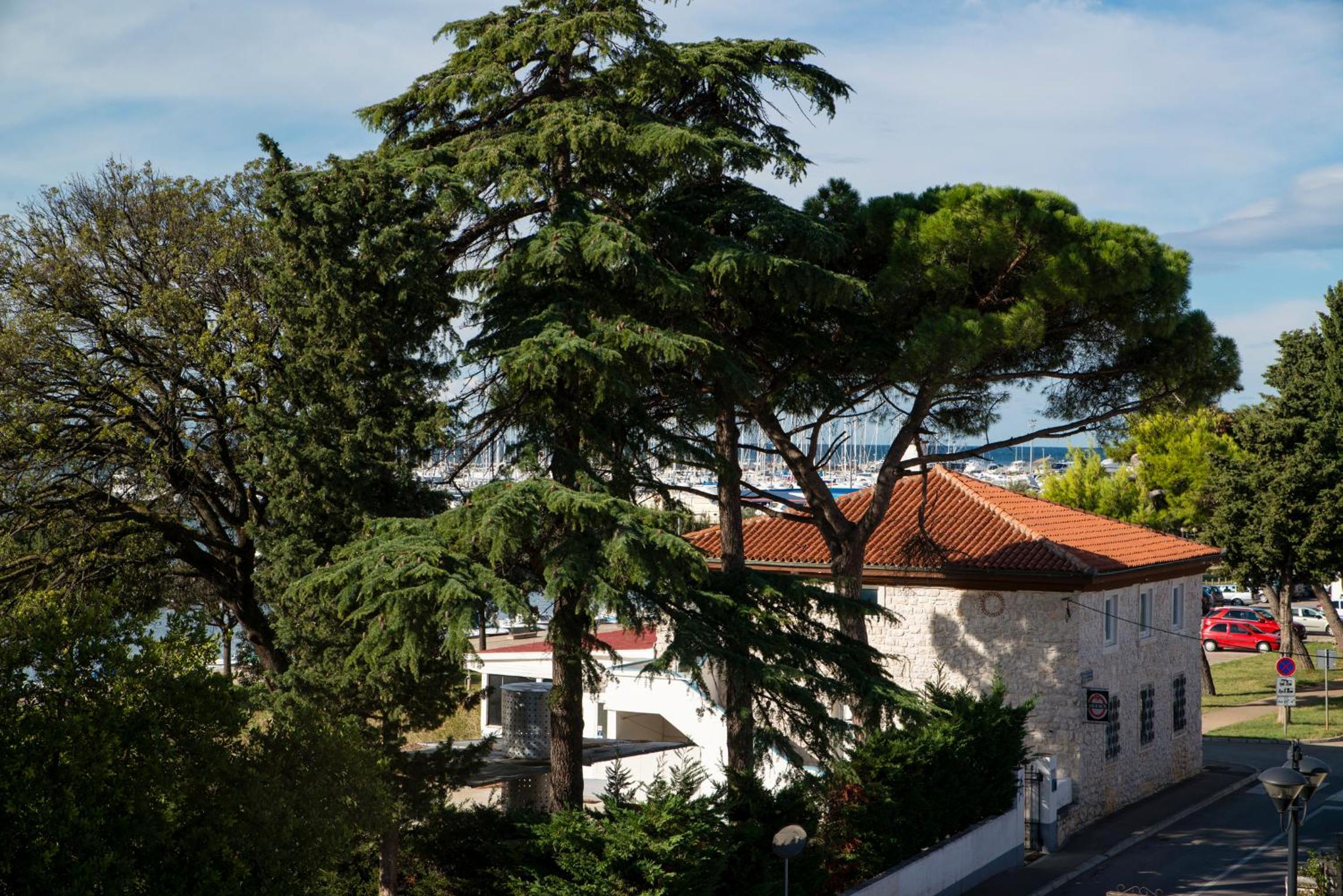 Apartments Villa Nona