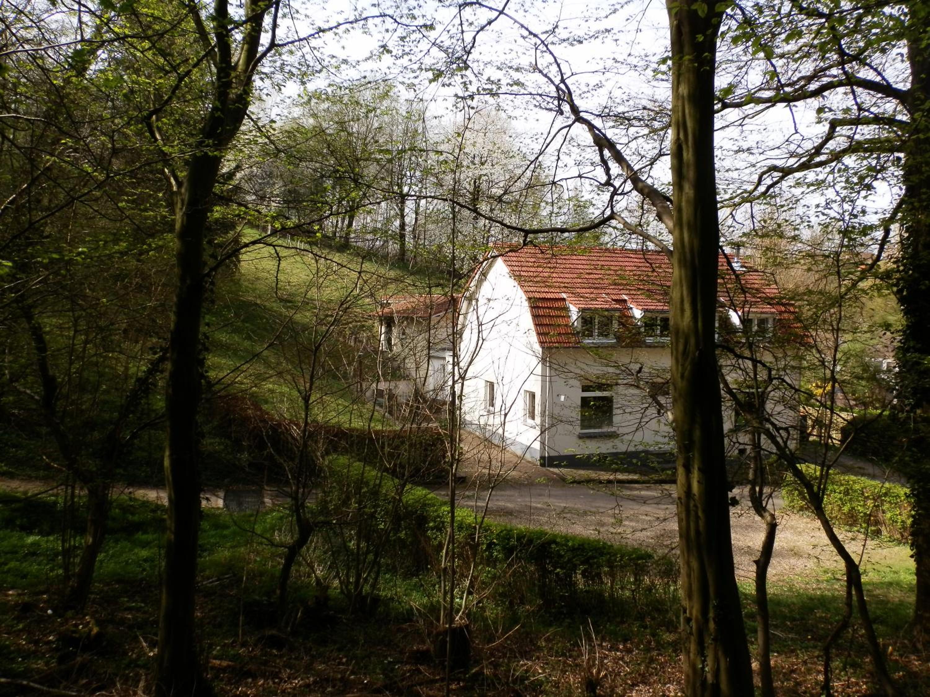 Photo 57