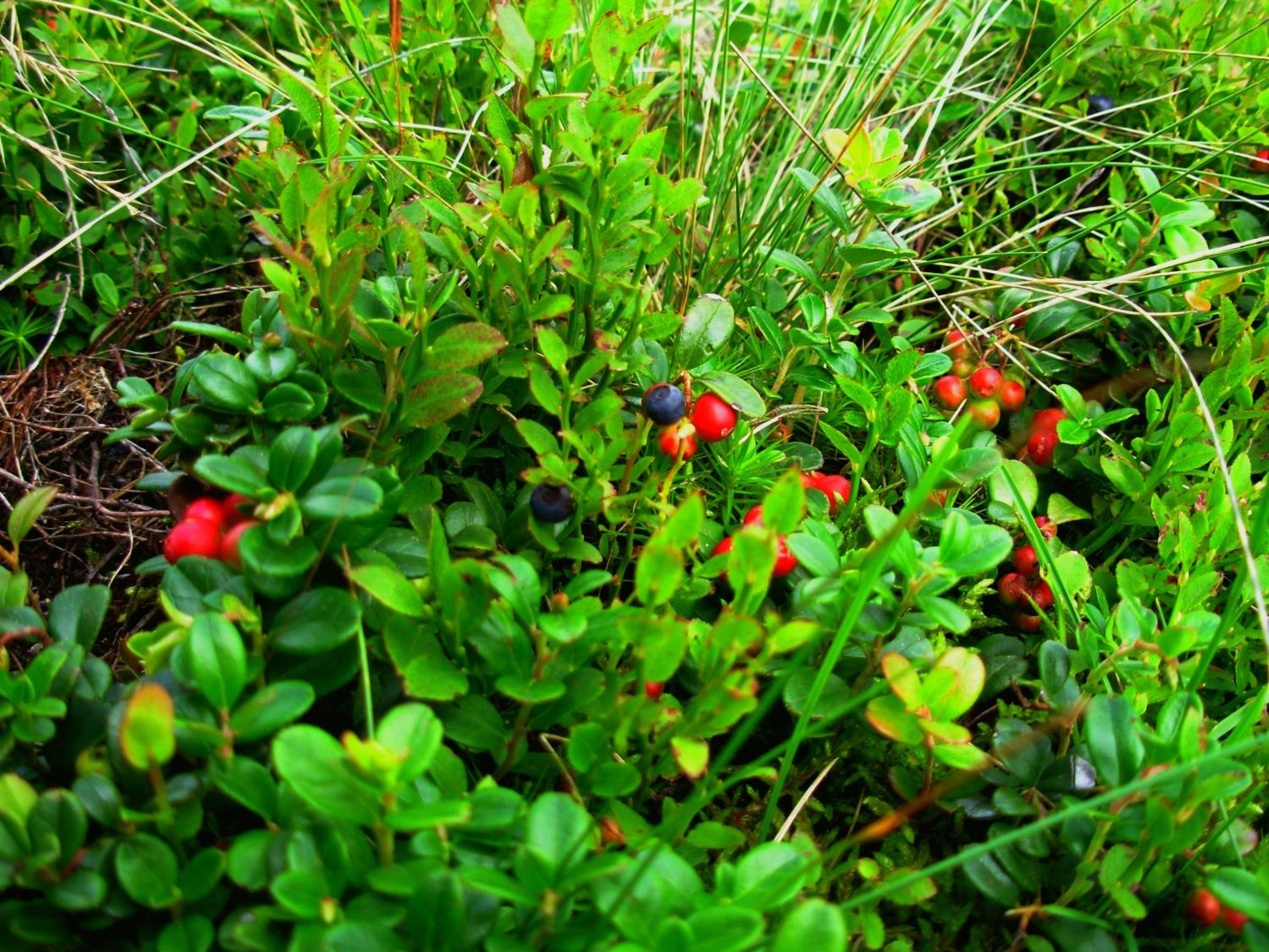 Photo 47