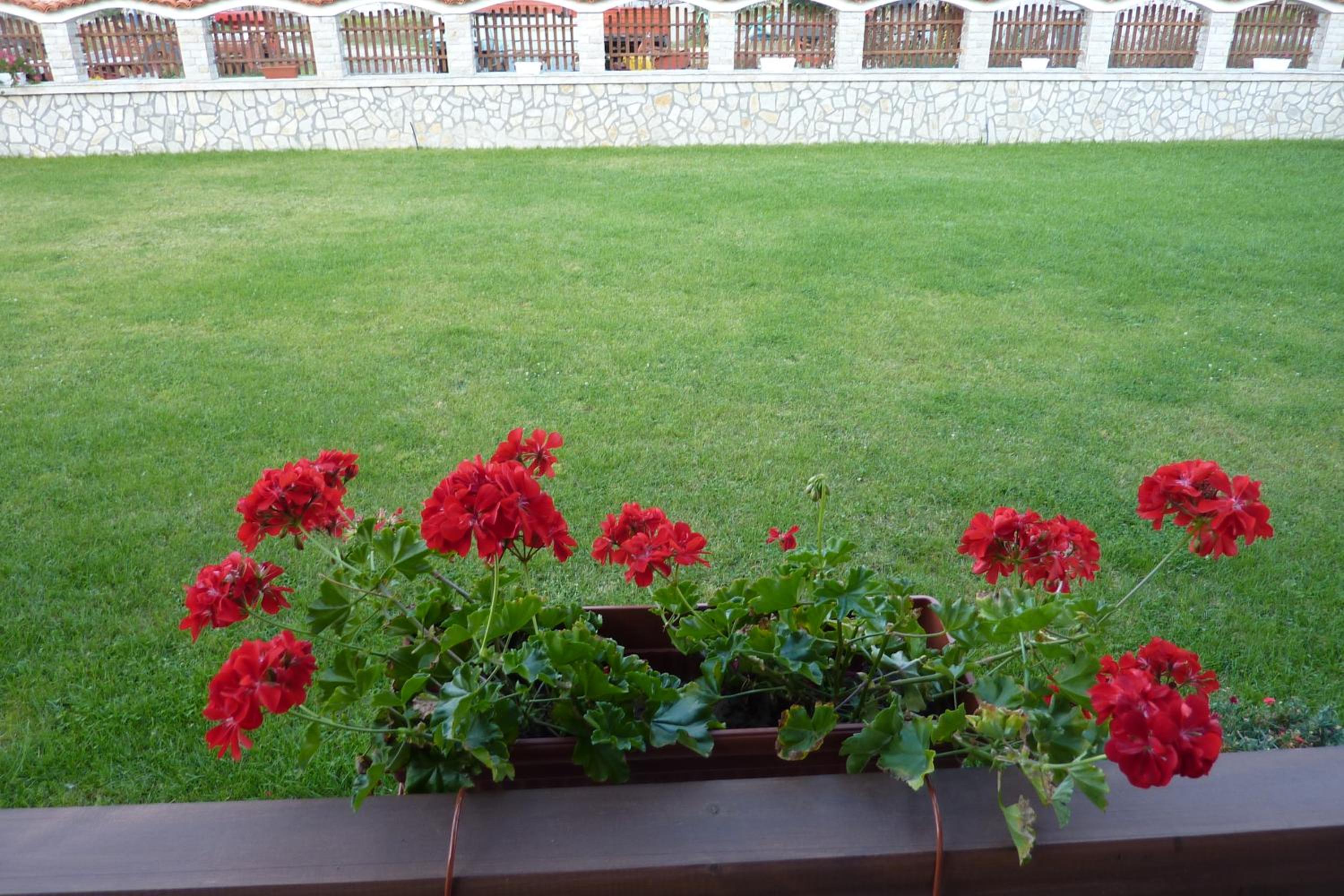 Guest House H Dzhogolanov