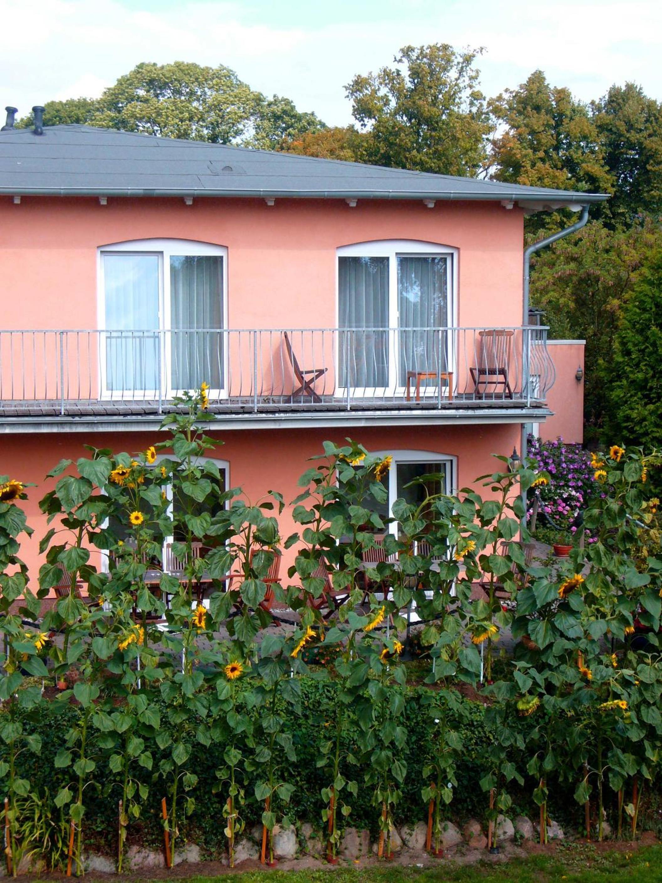 Pension Waldeck