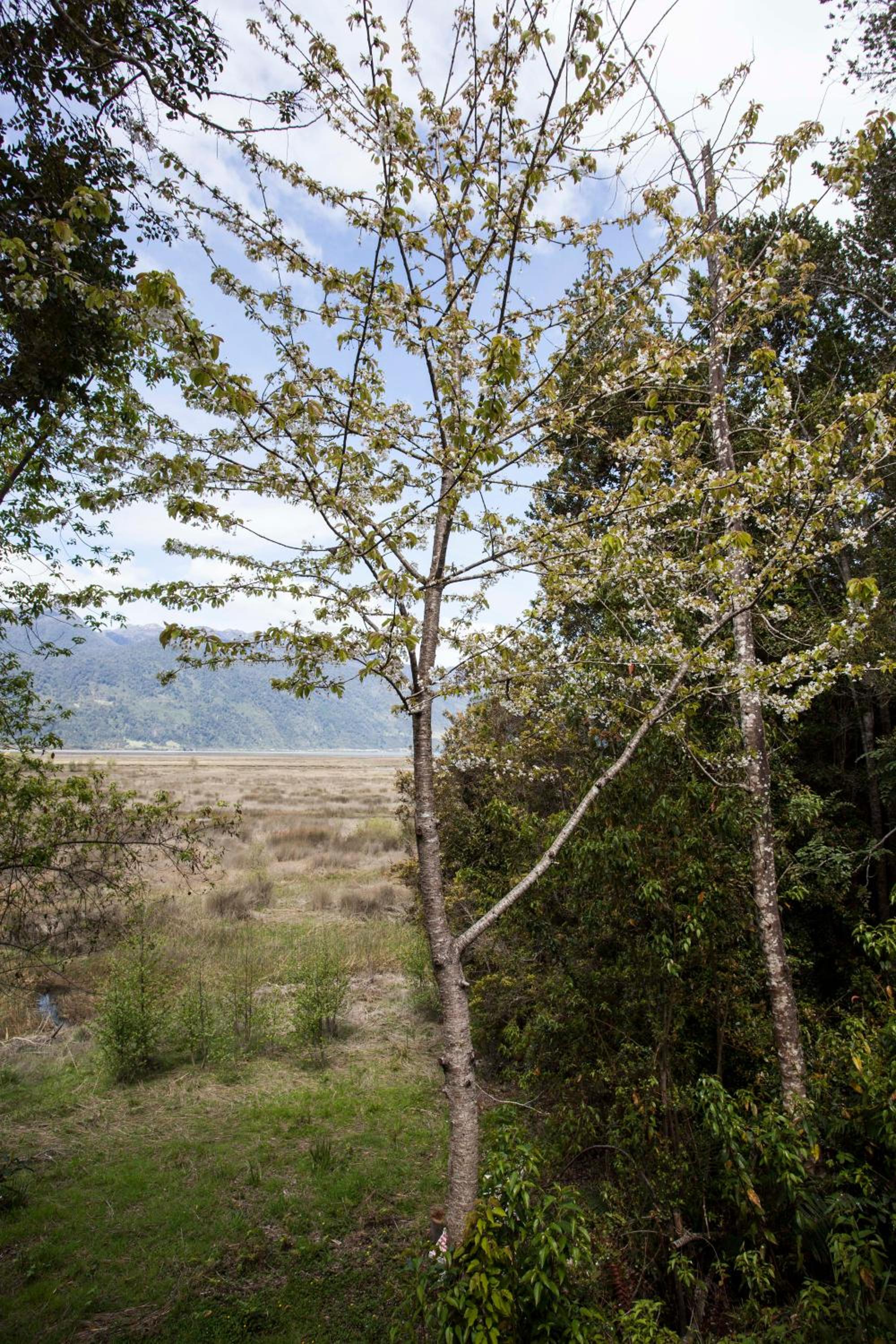 Mareas Ralun Lodge