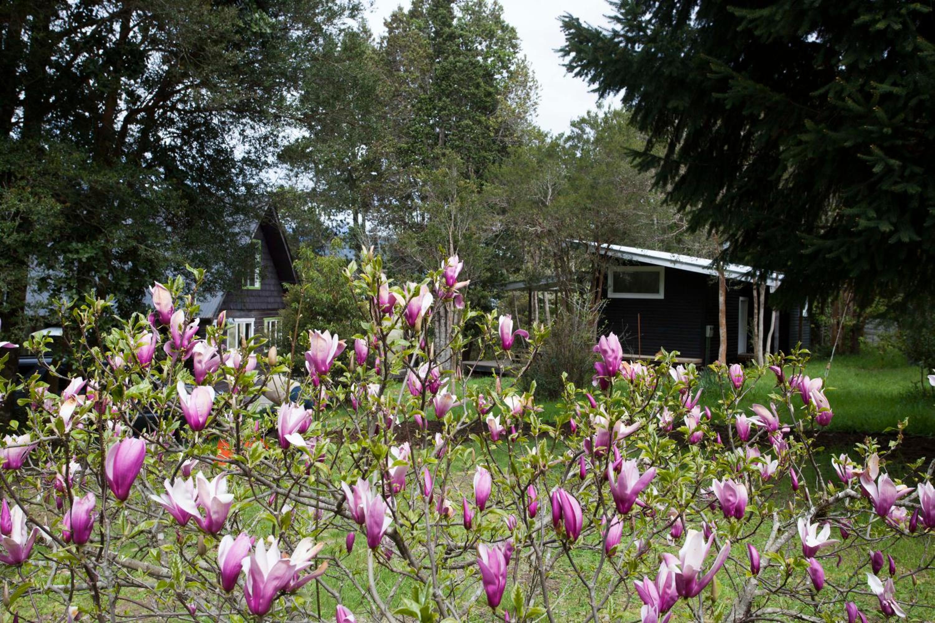 Mareas Ralun Lodge