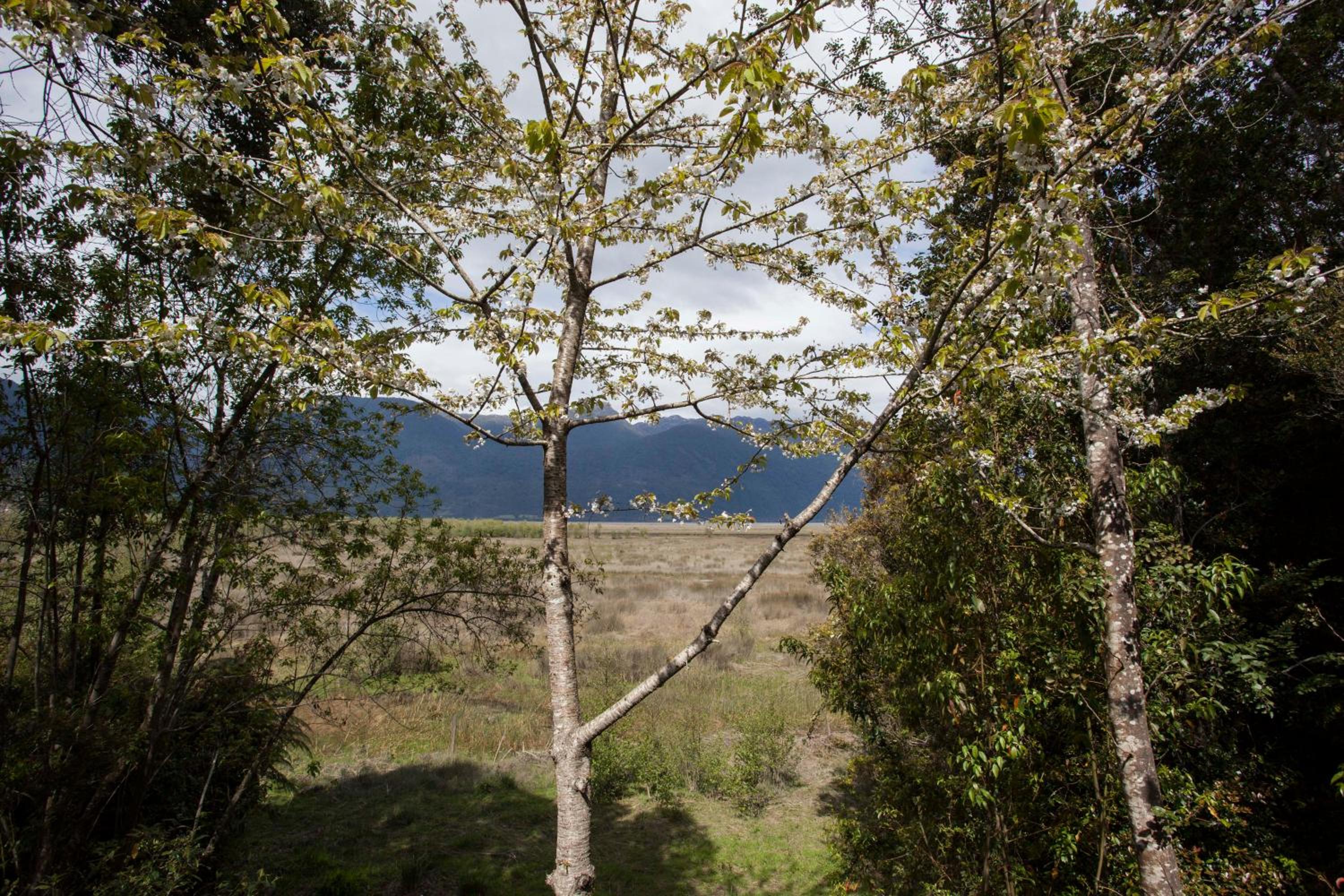 Mareas Ralun Lodge