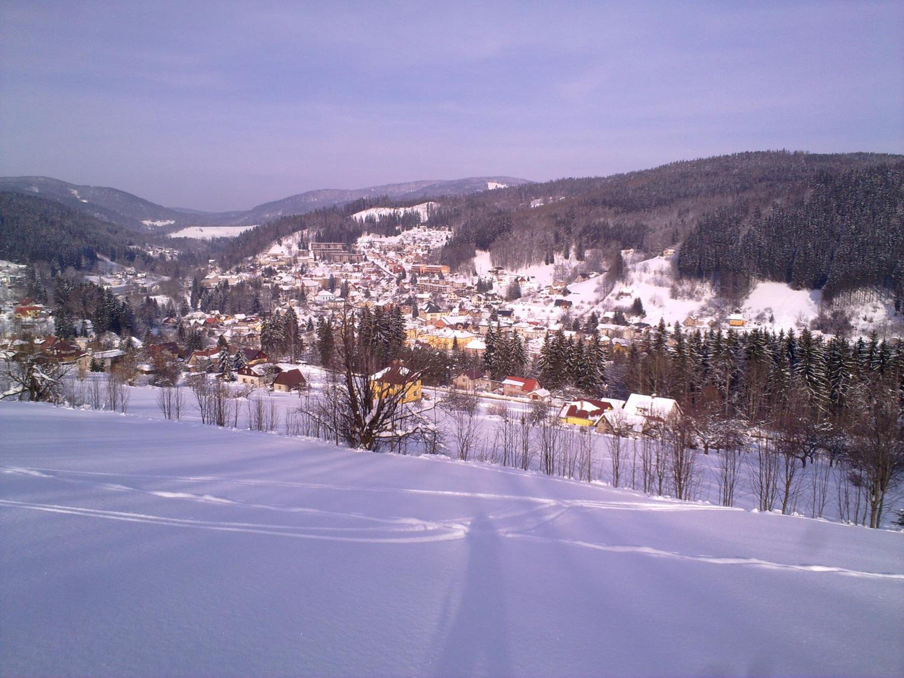 Apartment Votrubcovi