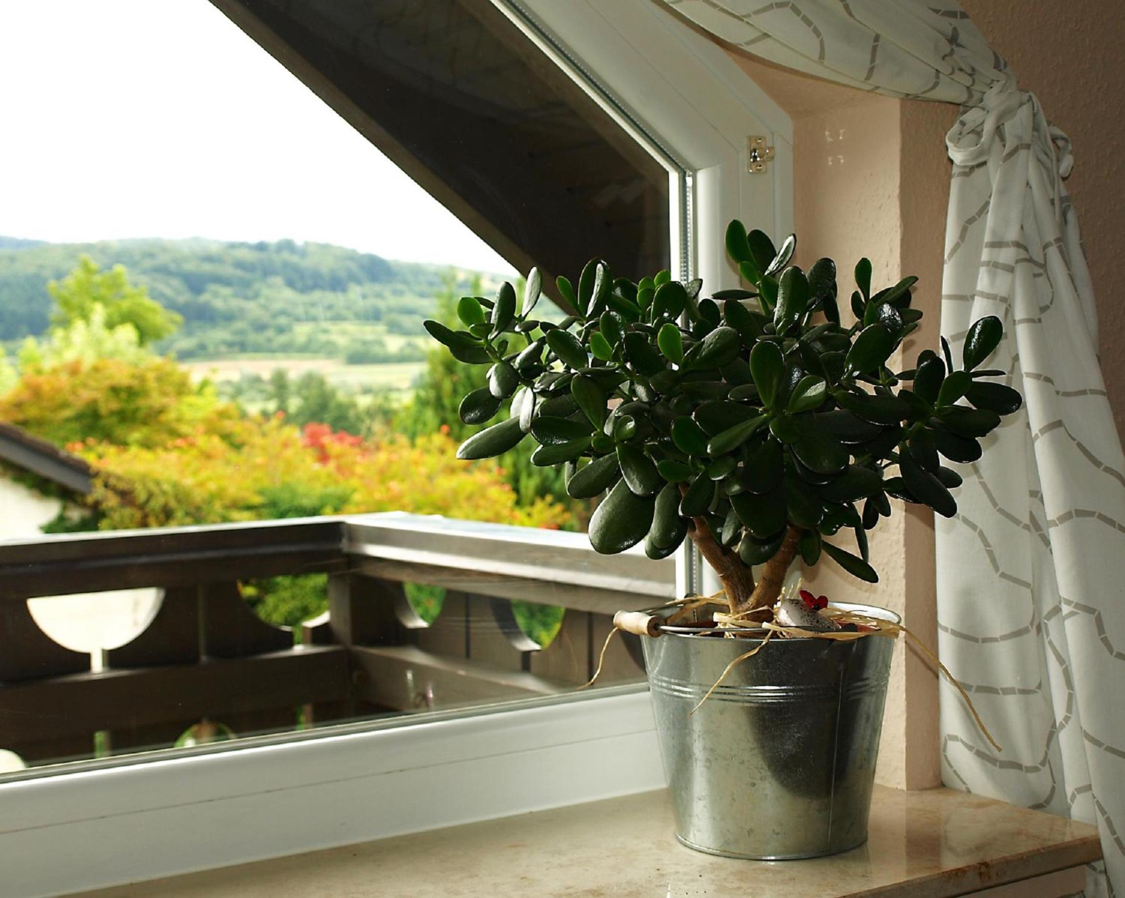 Ferienwohnung Storchenblick view 5
