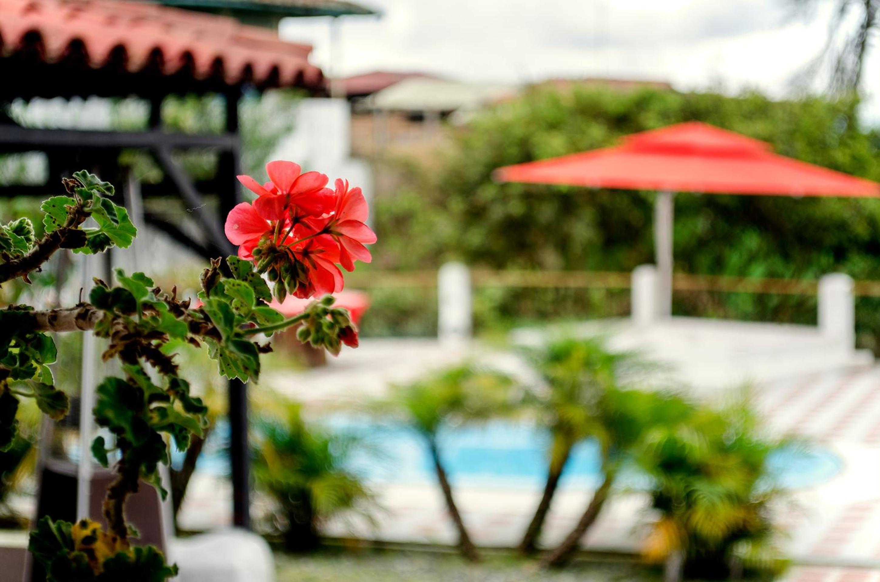 Finca Campestre La Adelita B&B