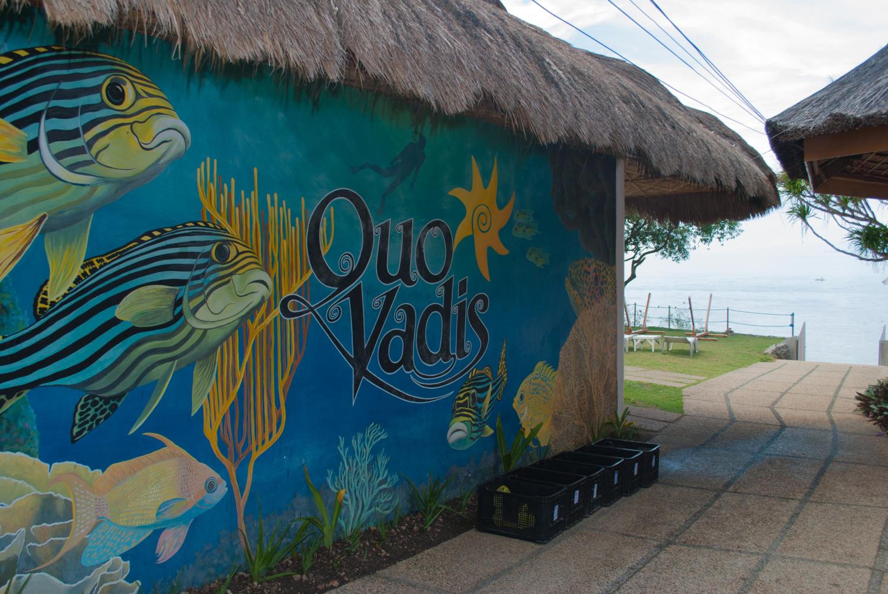Quo Vadis Dive Resort view 4