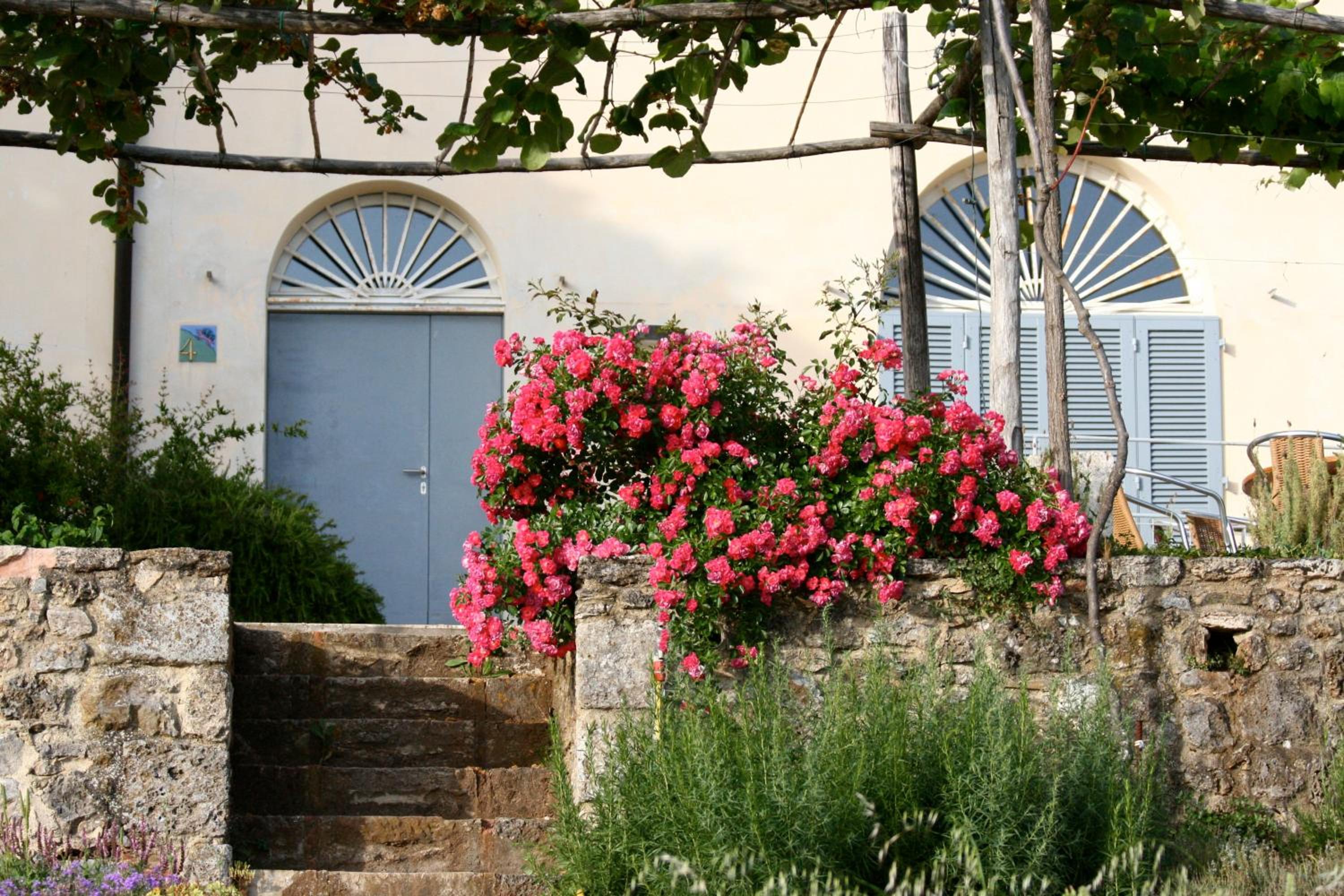 Podere Riparbella photo 3