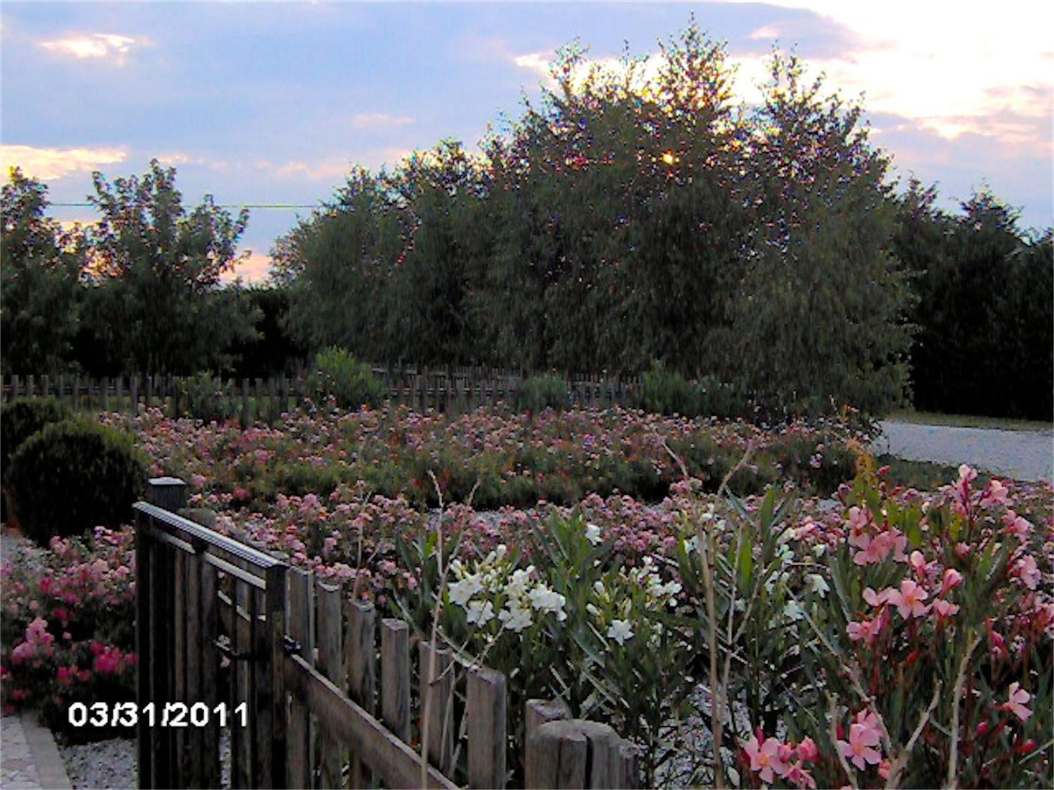Agriturismo Il Magicorto