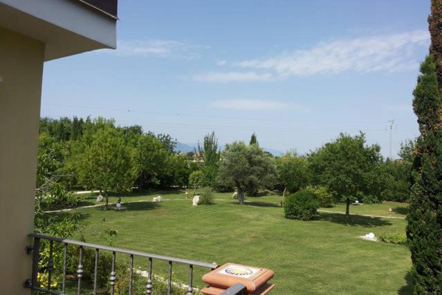 Photo 12