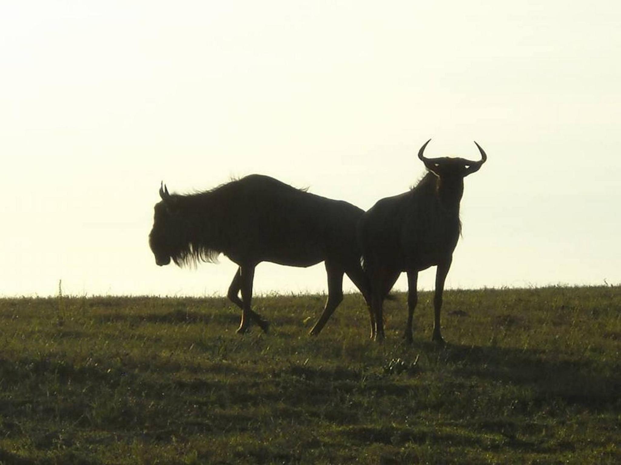 Pabala Private Nature Reserve