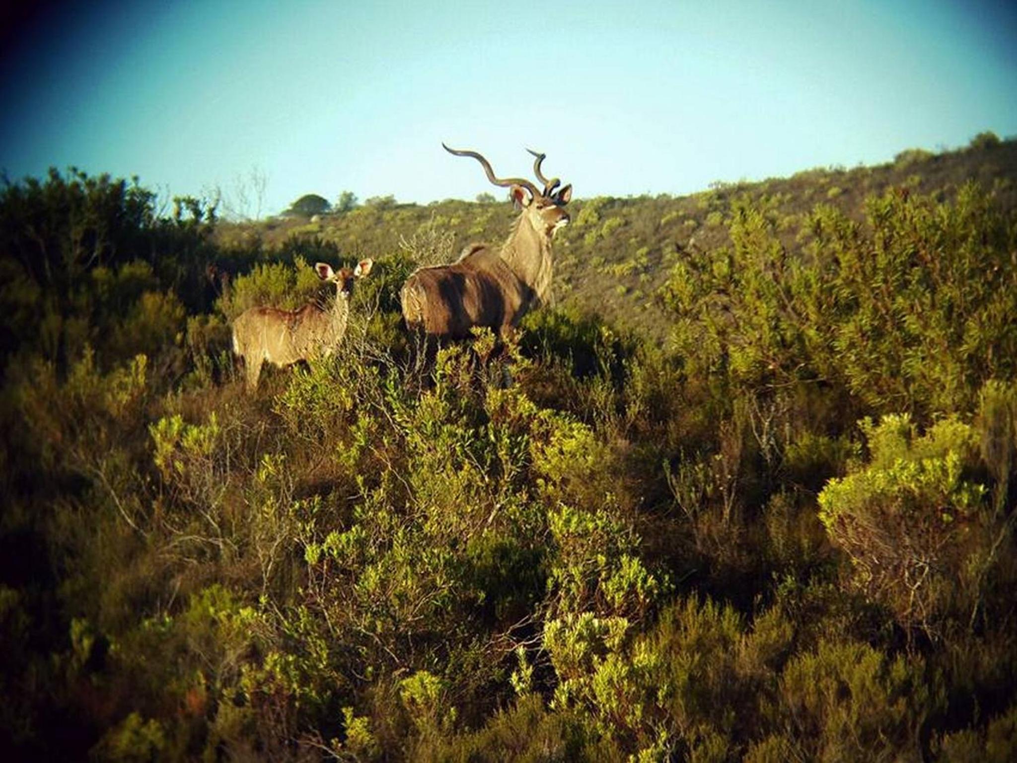 Pabala Private Nature Reserve