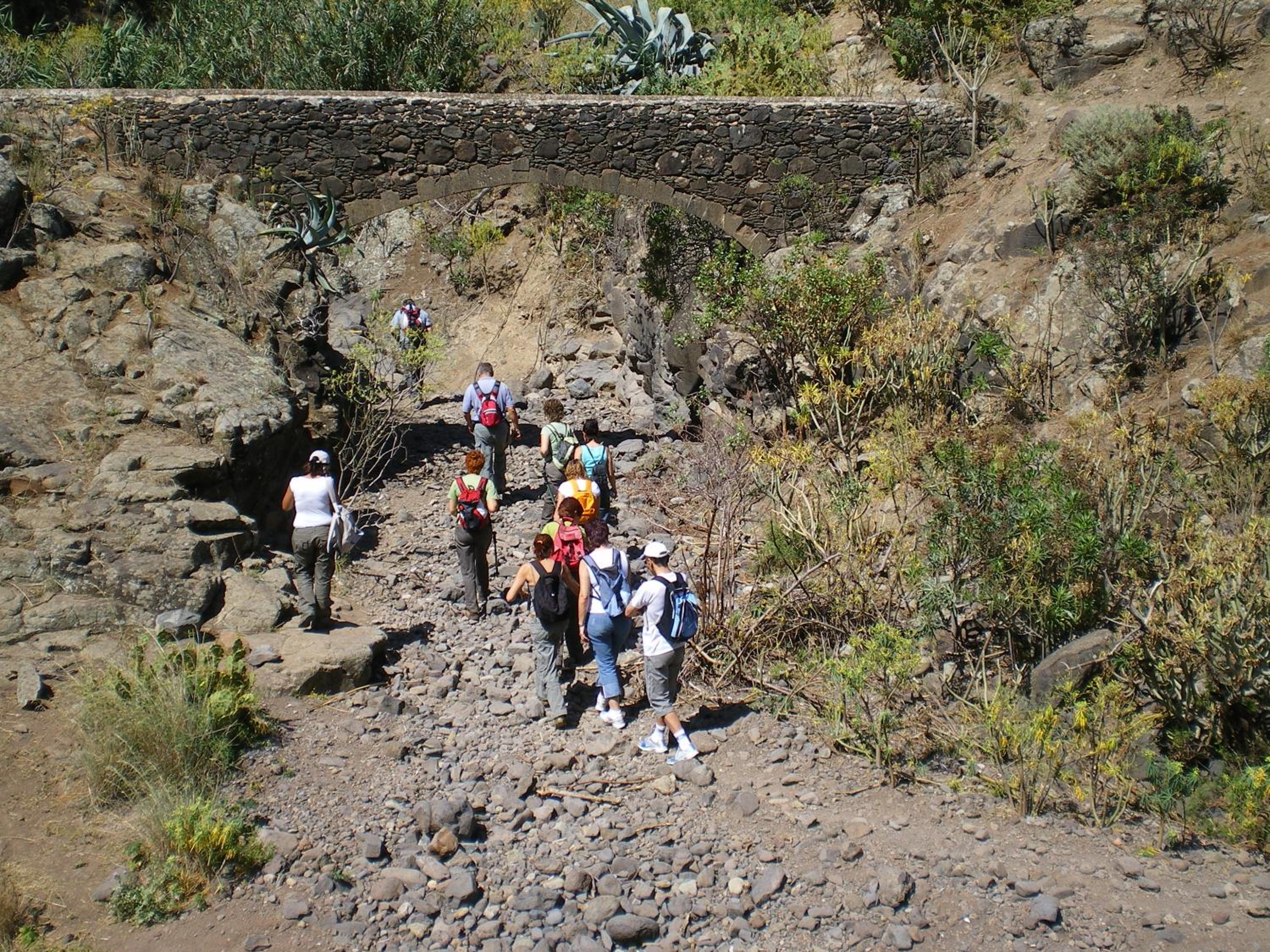 Photo 32