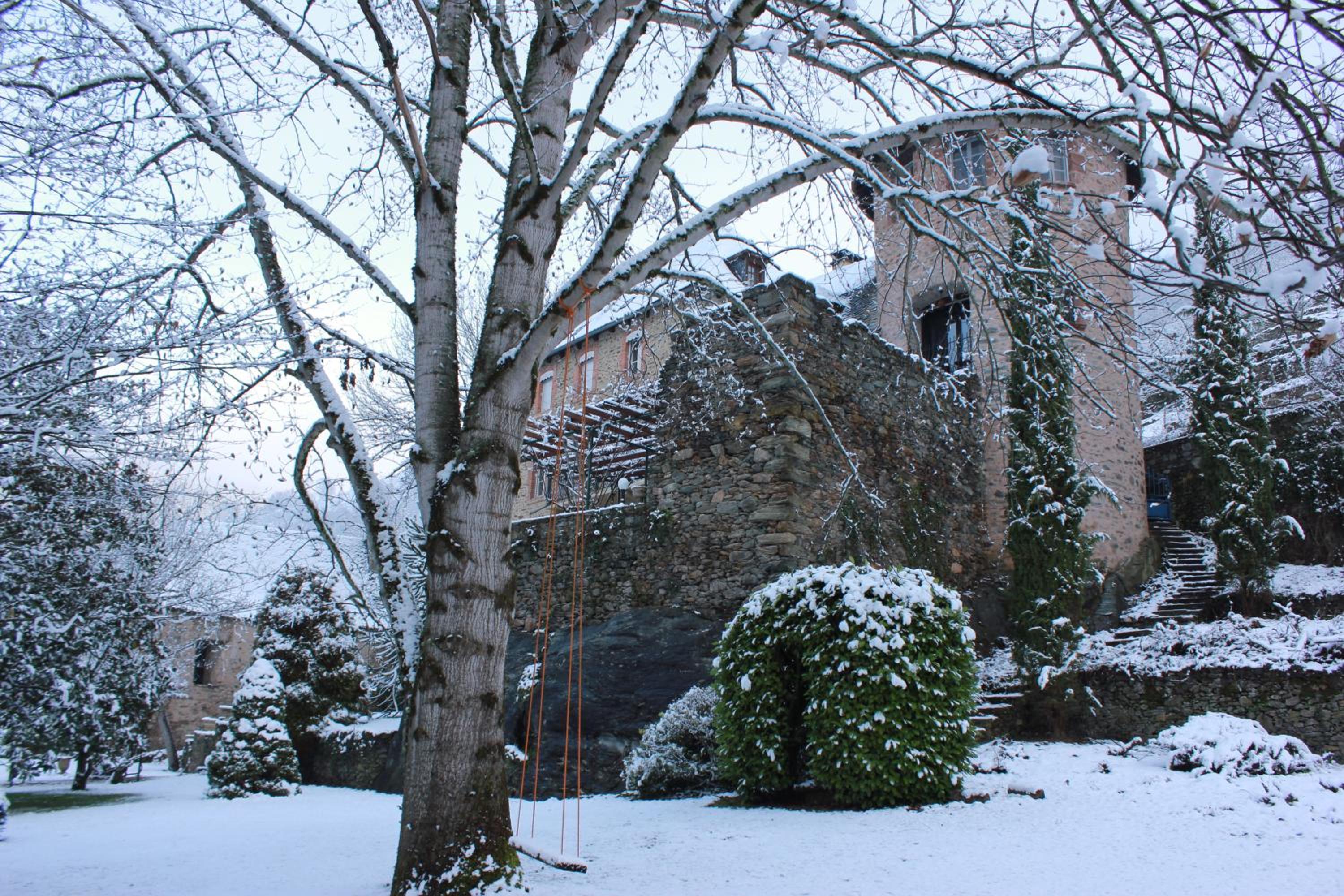 Photo 19