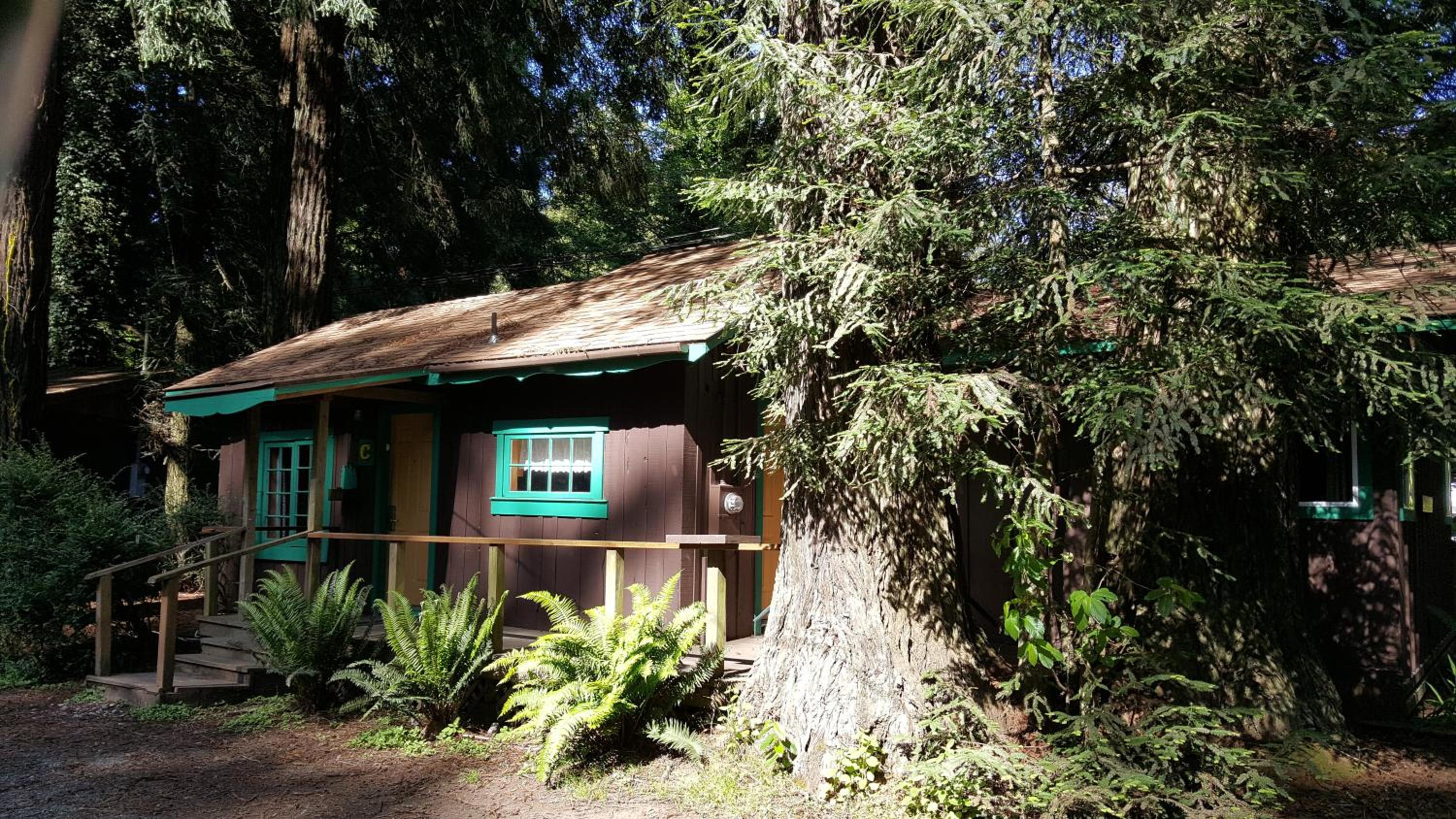 Emerald Forest Cabins