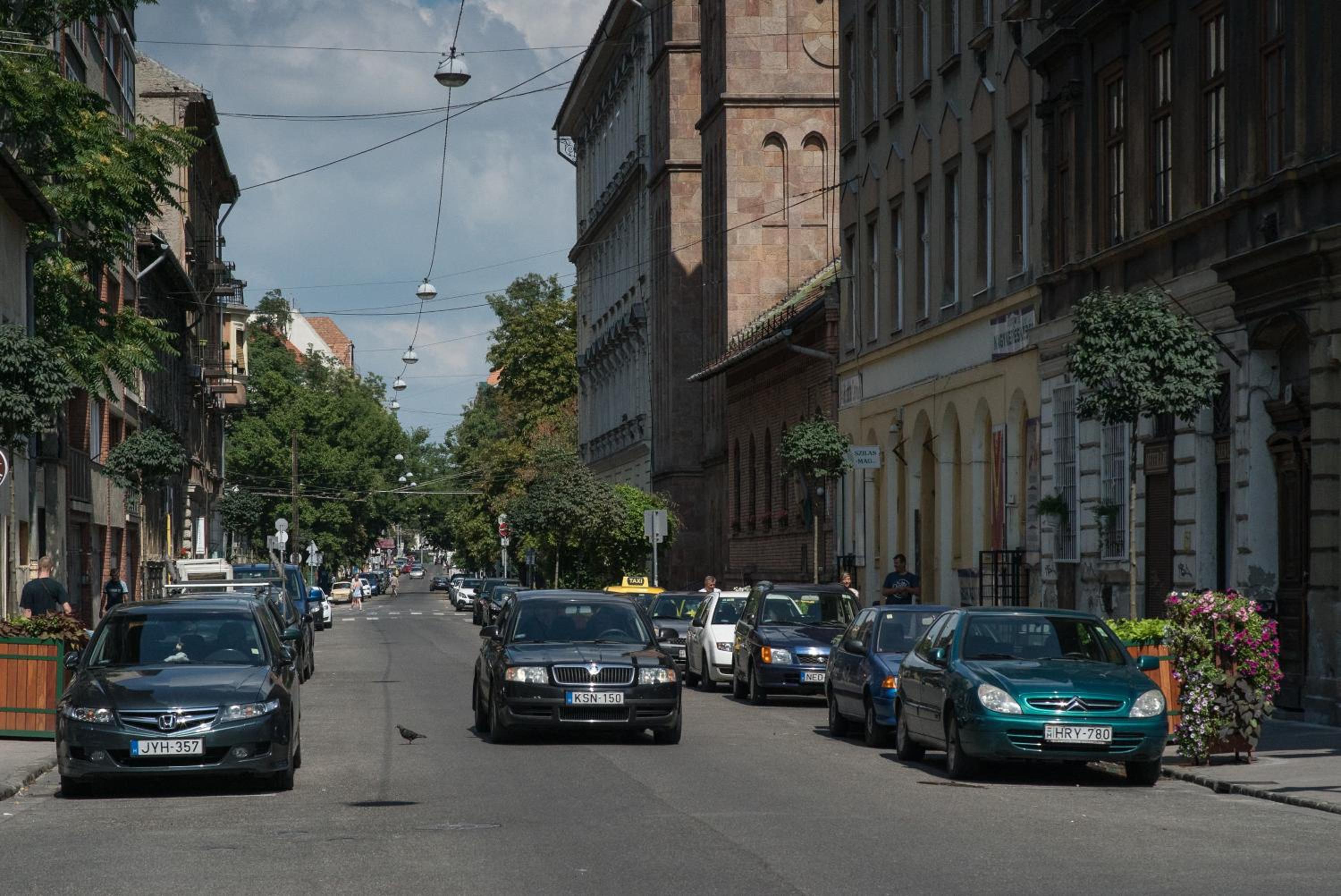 Photo 42