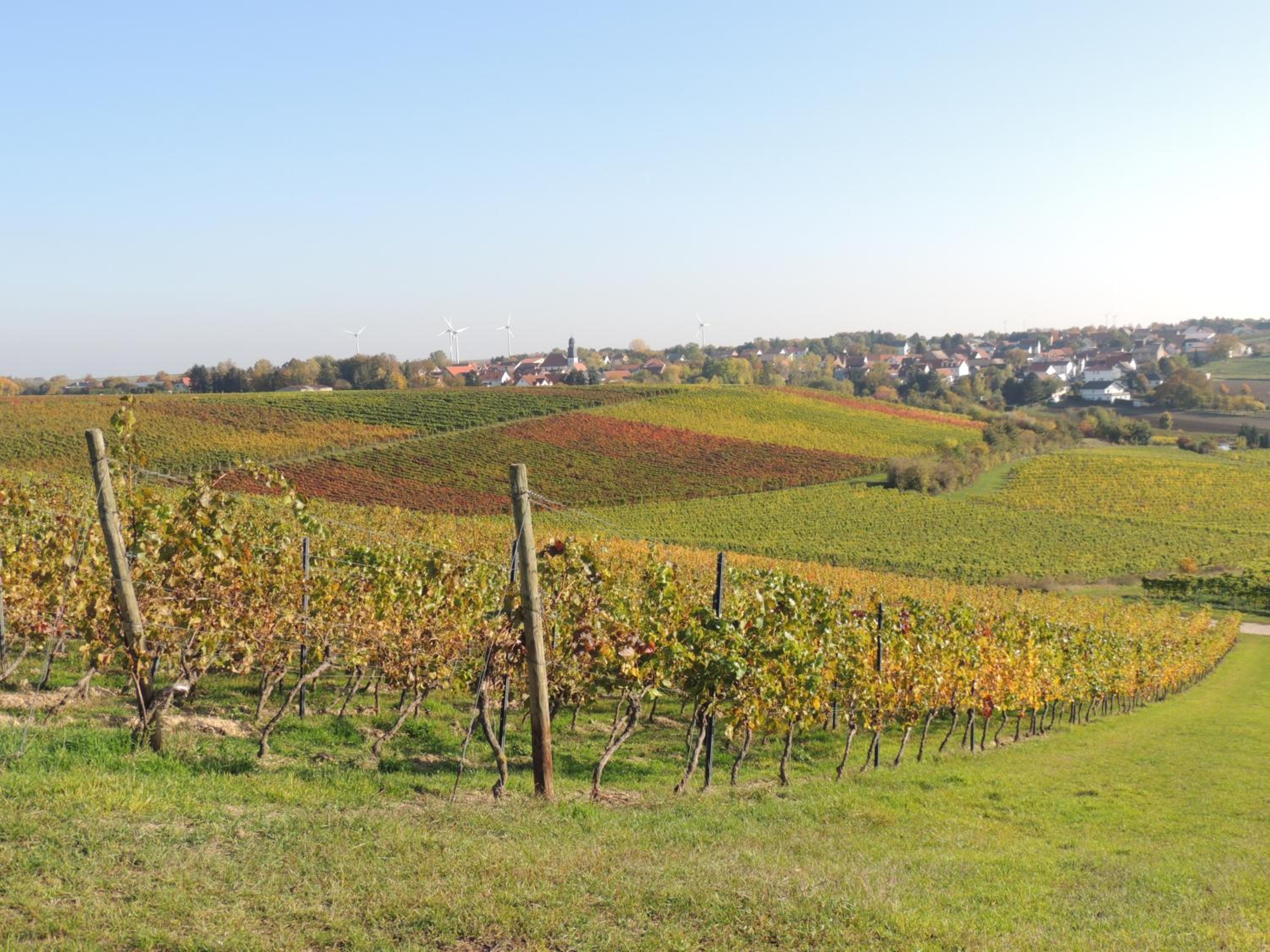 Weingut Seck