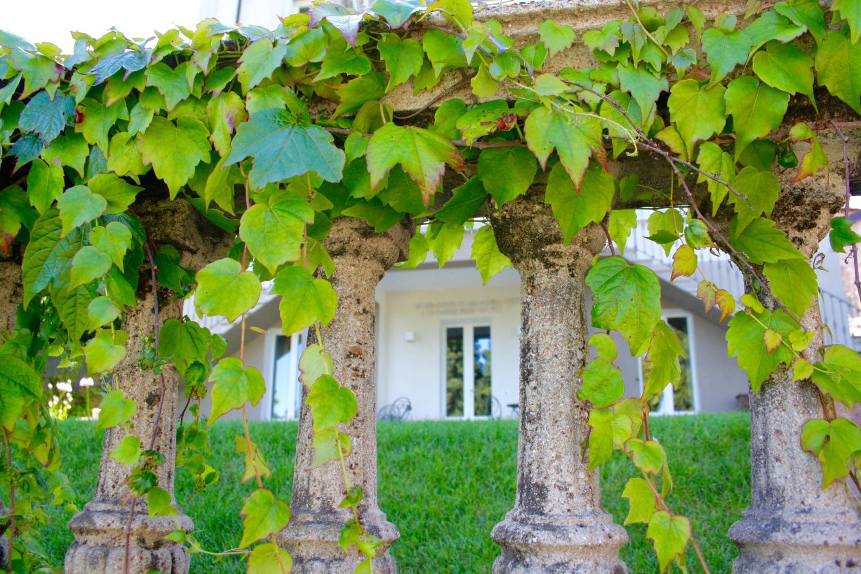 White Lilac Romantic B&B - Adults only