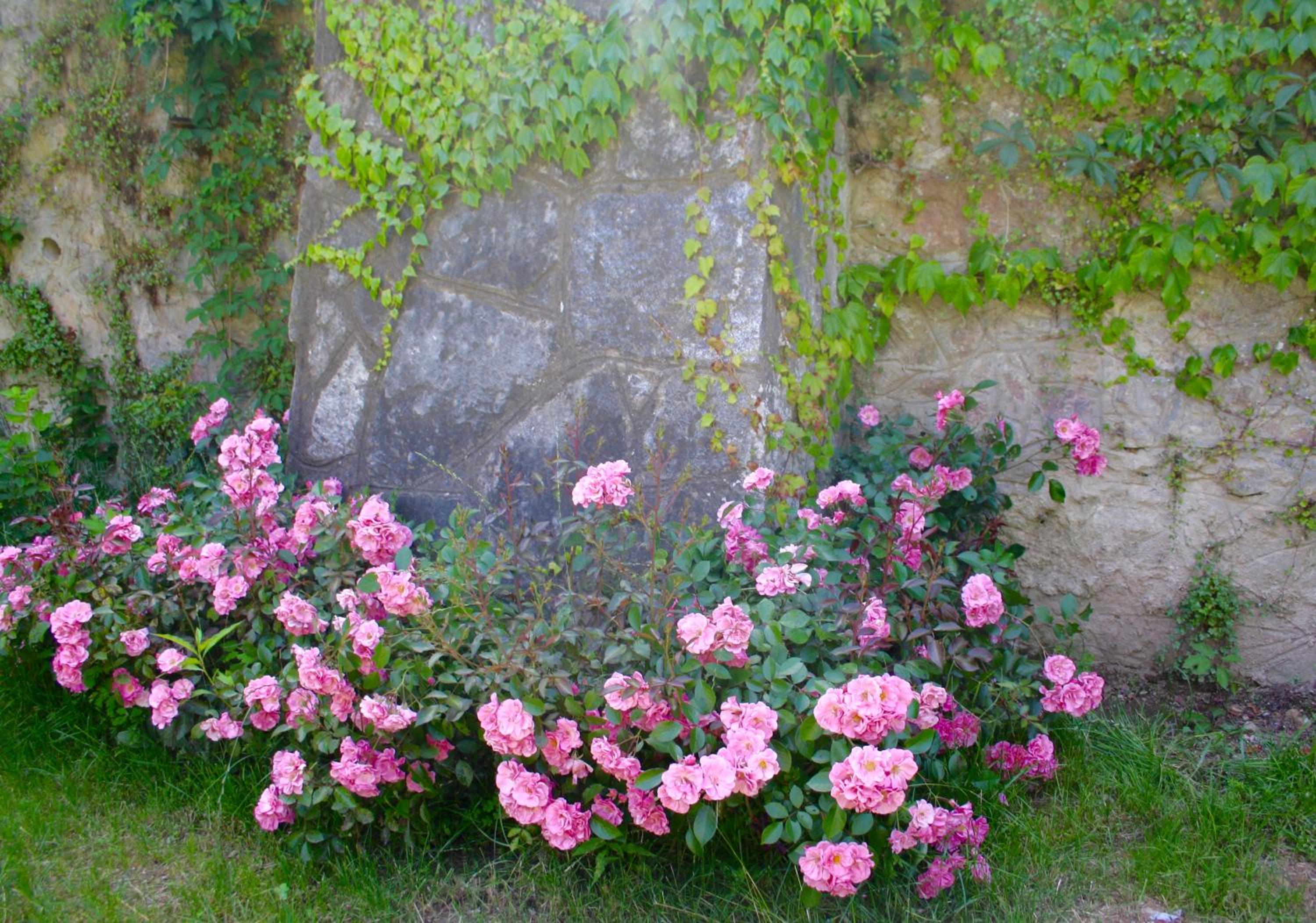 White Lilac Romantic B&B - Adults only